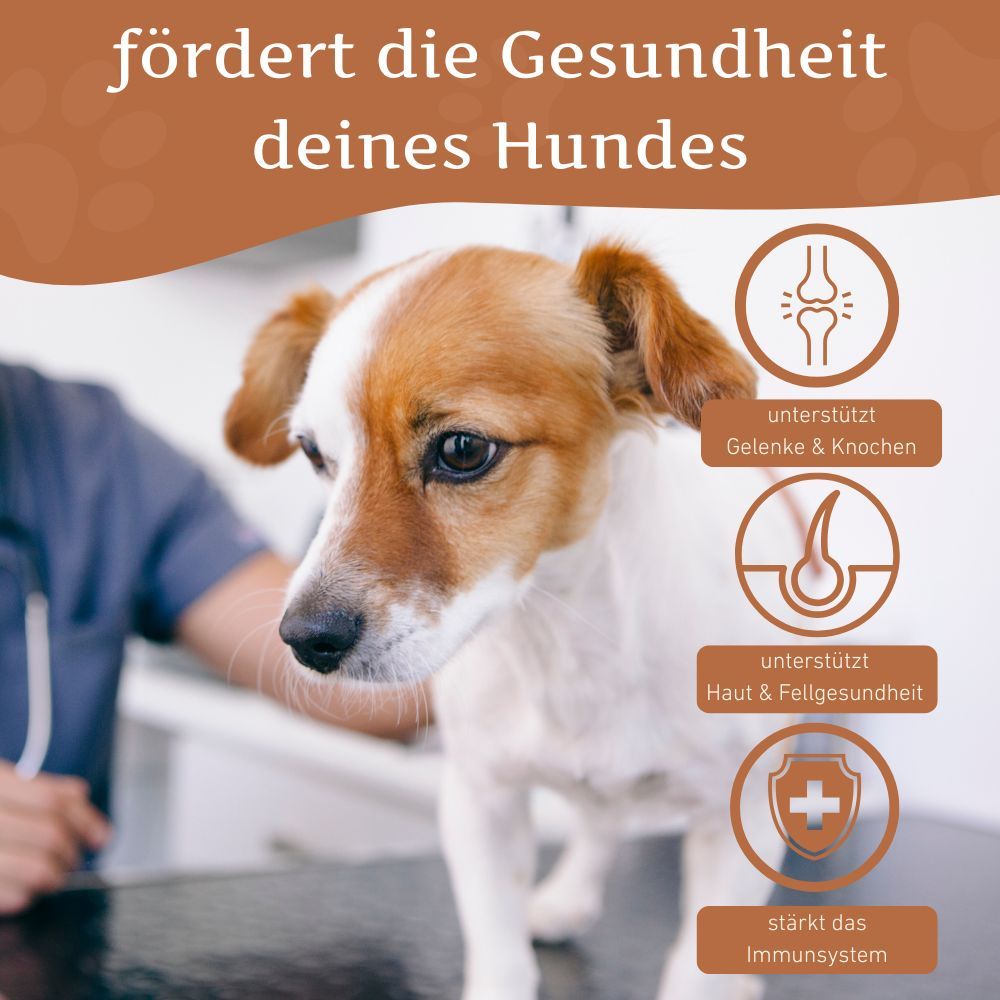 Lachsöl – 100 % natürliches BARF-Öl für Hunde