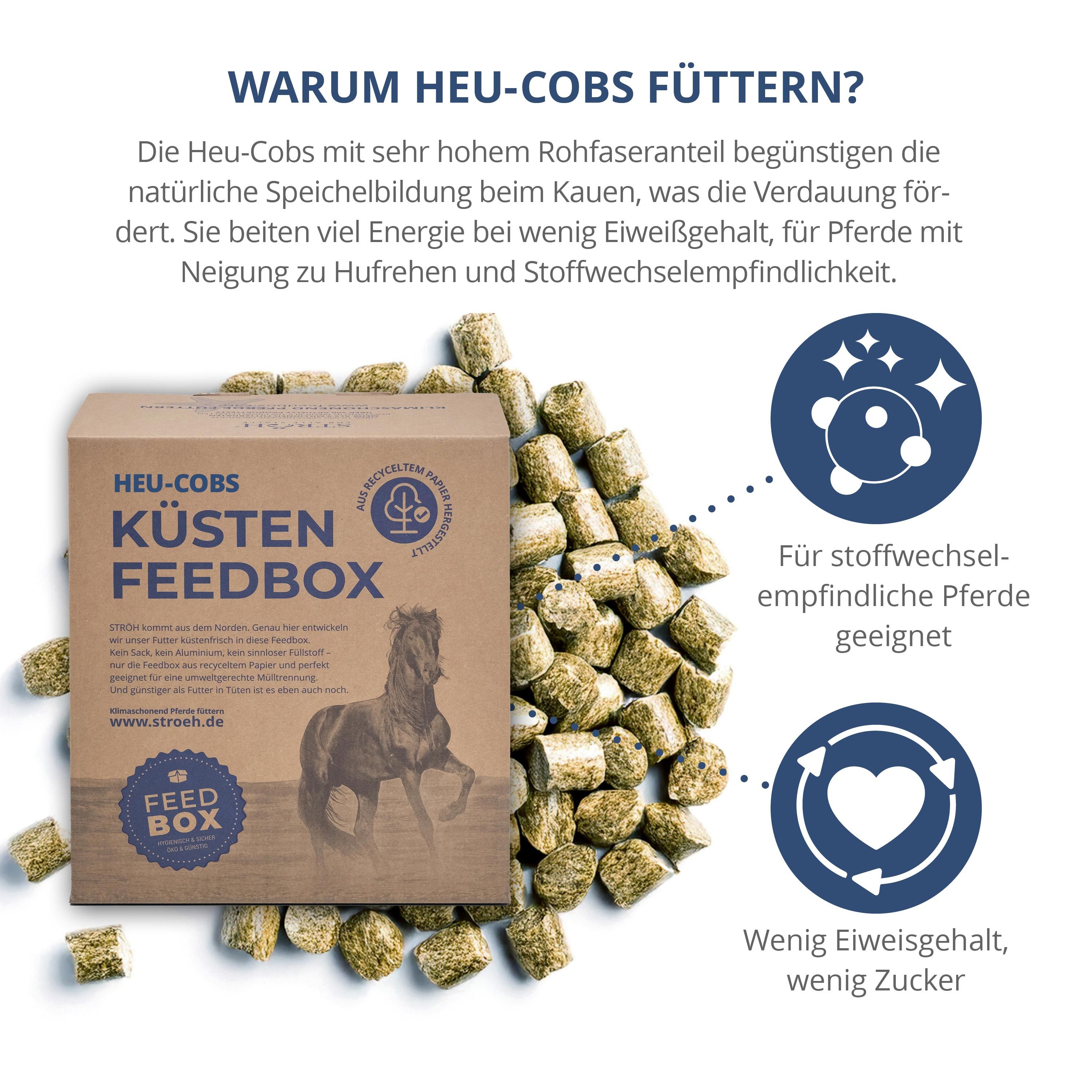 Braune "Küsten Feedbox" mit Heu-Cobs und Infografiken. Logo und Pferd auf der Box. Heu-Cobs-Pellets daneben. Text: Warum Heu-Cobs füttern?