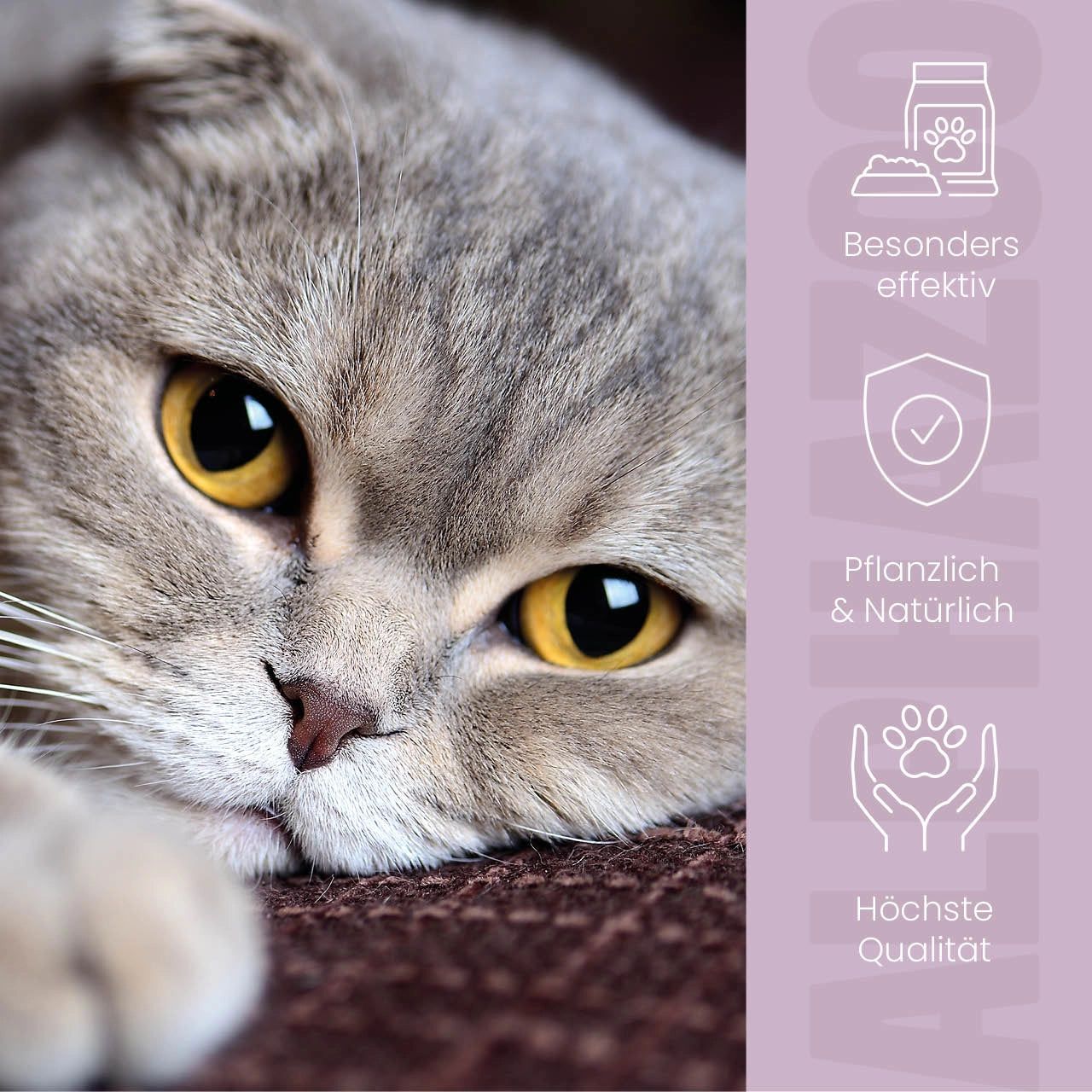 Katze mit gelben Augen. Text: Besonders effektiv, pflanzlich & natürlich, höchste Qualität.