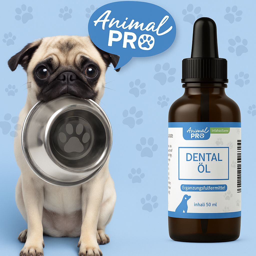 Braune Flasche mit Tropfer neben einem Mops mit Napf. Auf der Flasche steht "Animal Pro" und "Dental Öl". Sprechblase mit Logo.