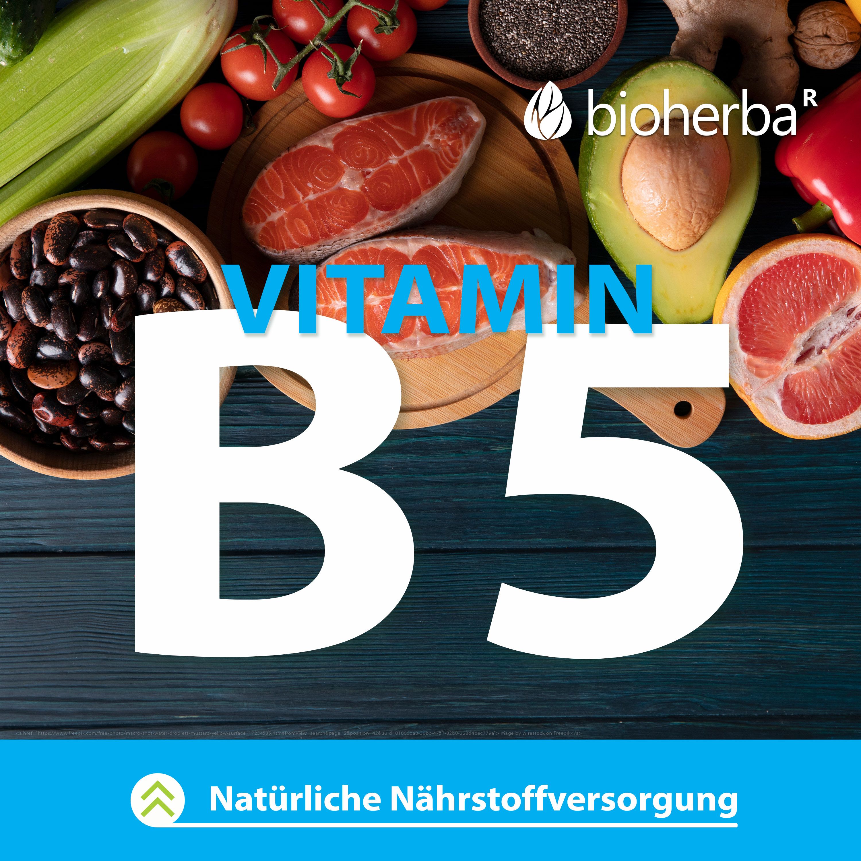 Verschiedene Lebensmittel, darunter Lachs, Avocado und Gemüse. Vitamin B5. Natürliche Nährstoffversorgung.