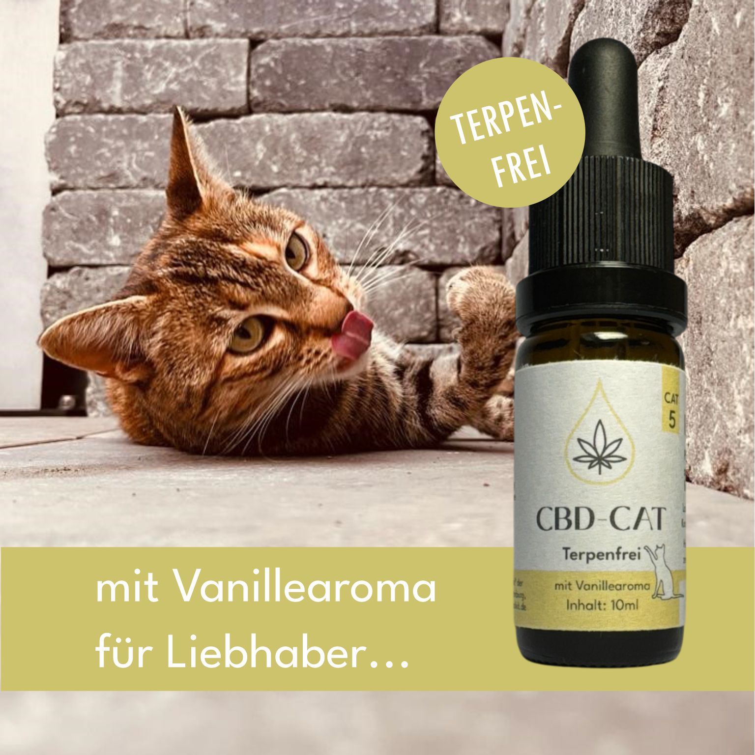 CBD Öl Flasche mit Pipette, Terpenfrei, mit Vanillearoma. Katze im Hintergrund.