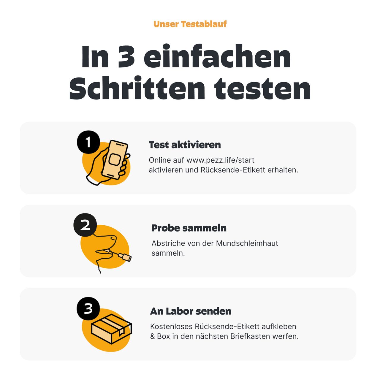 Infografik: 3 Schritte zum Testen. 1. Test aktivieren. 2. Probe sammeln. 3. An Labor senden. Logo "pezz".