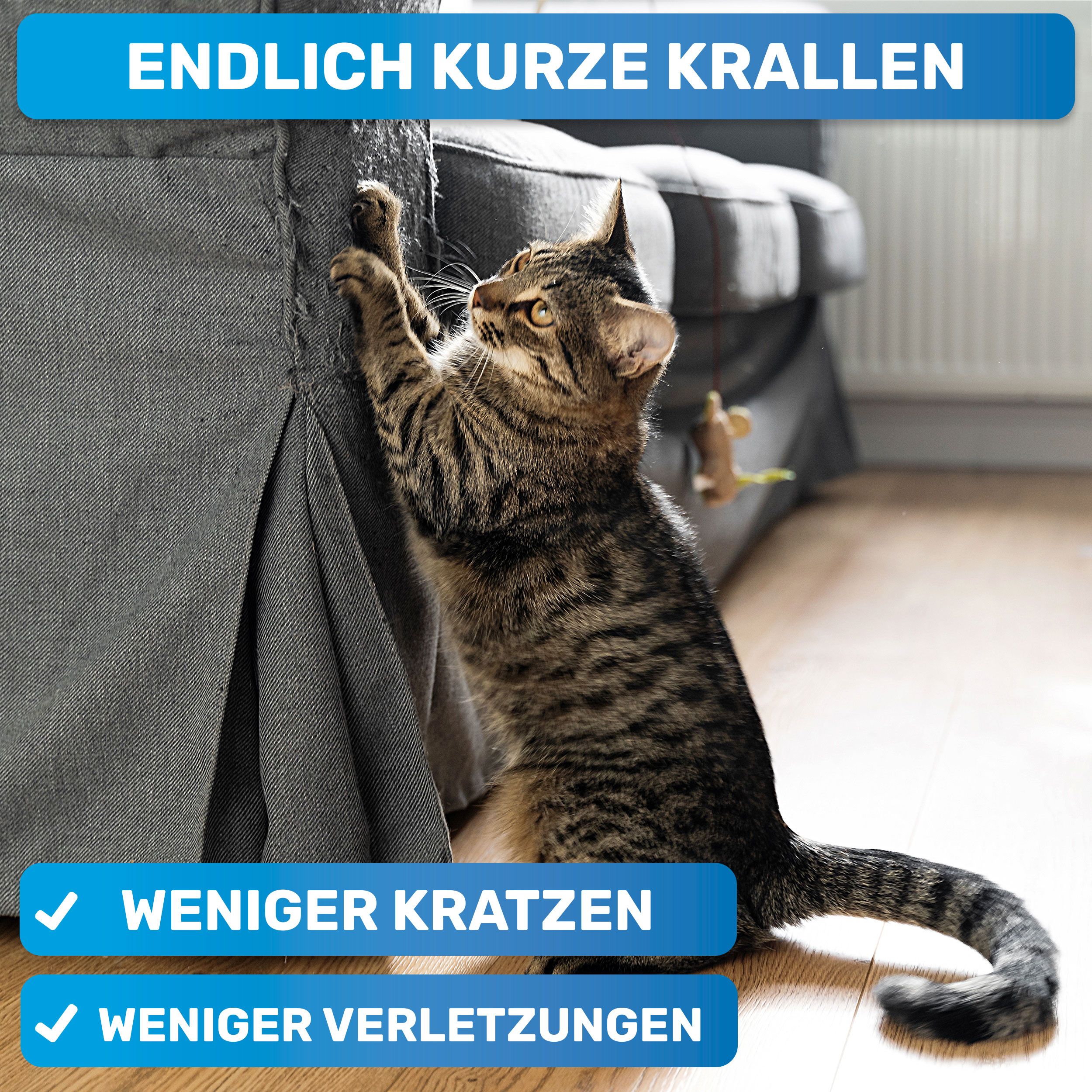 Katze kratzt an einem Sofa. Text: Endlich kurze Krallen, Weniger Kratzen, Weniger Verletzungen.