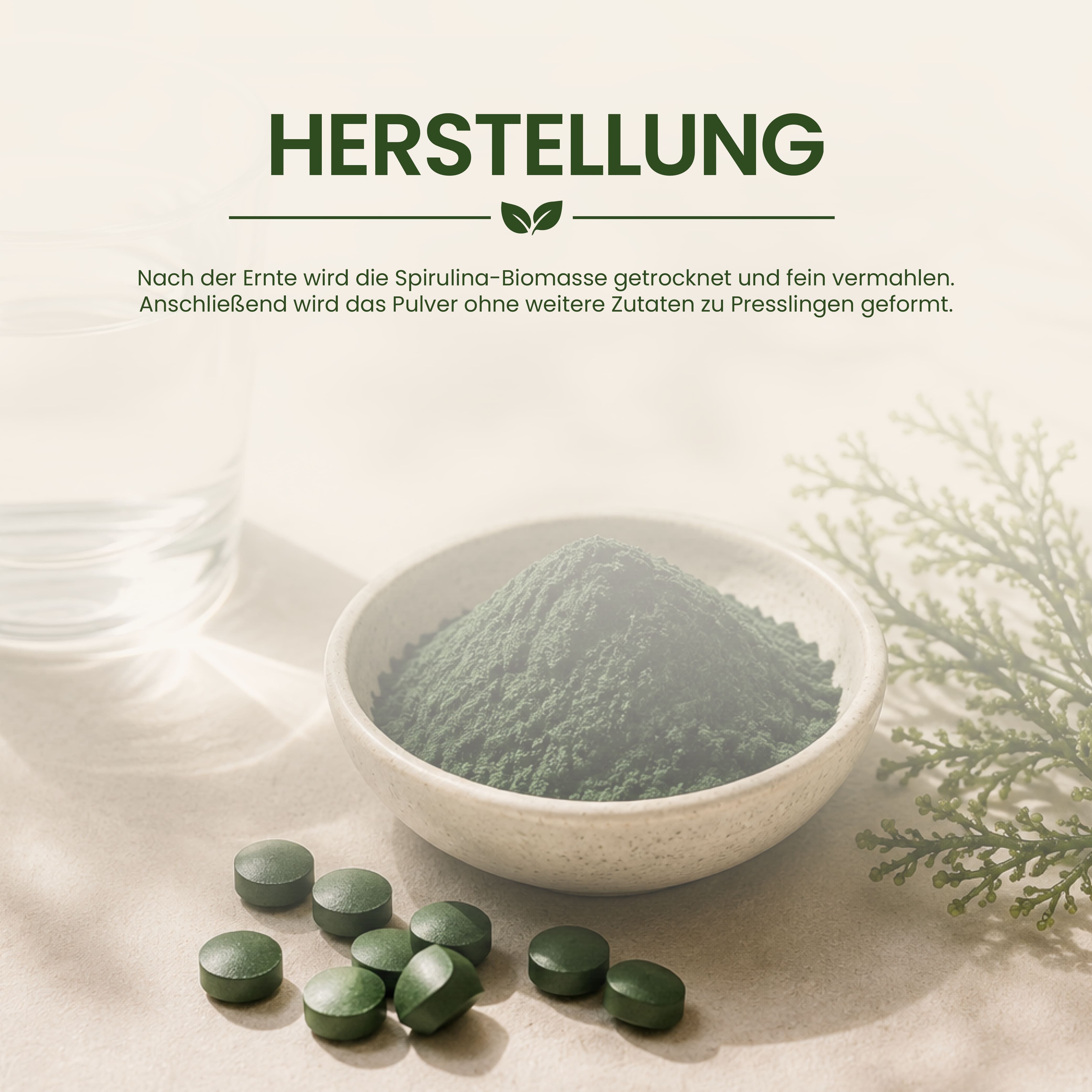 Spirulina Pulver und Presslinge, Herstellungsprozess.