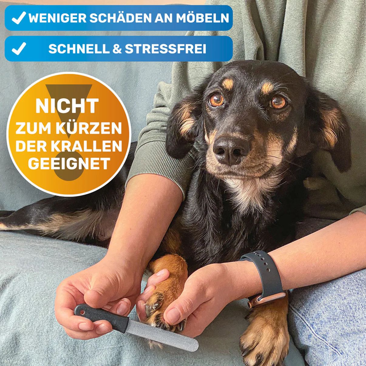 BluePet Krallenfeile & Nagelfeile für Hunde, Katzen und Nager