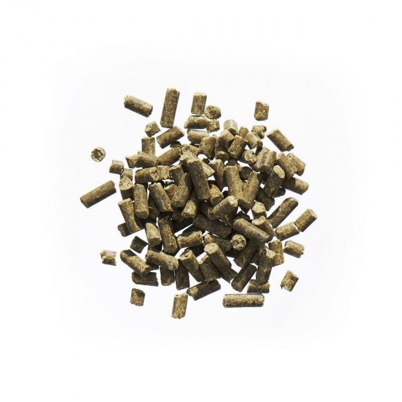 Haufen zylindrischer Pellets. Braune Farbe. Auf hellem Hintergrund.