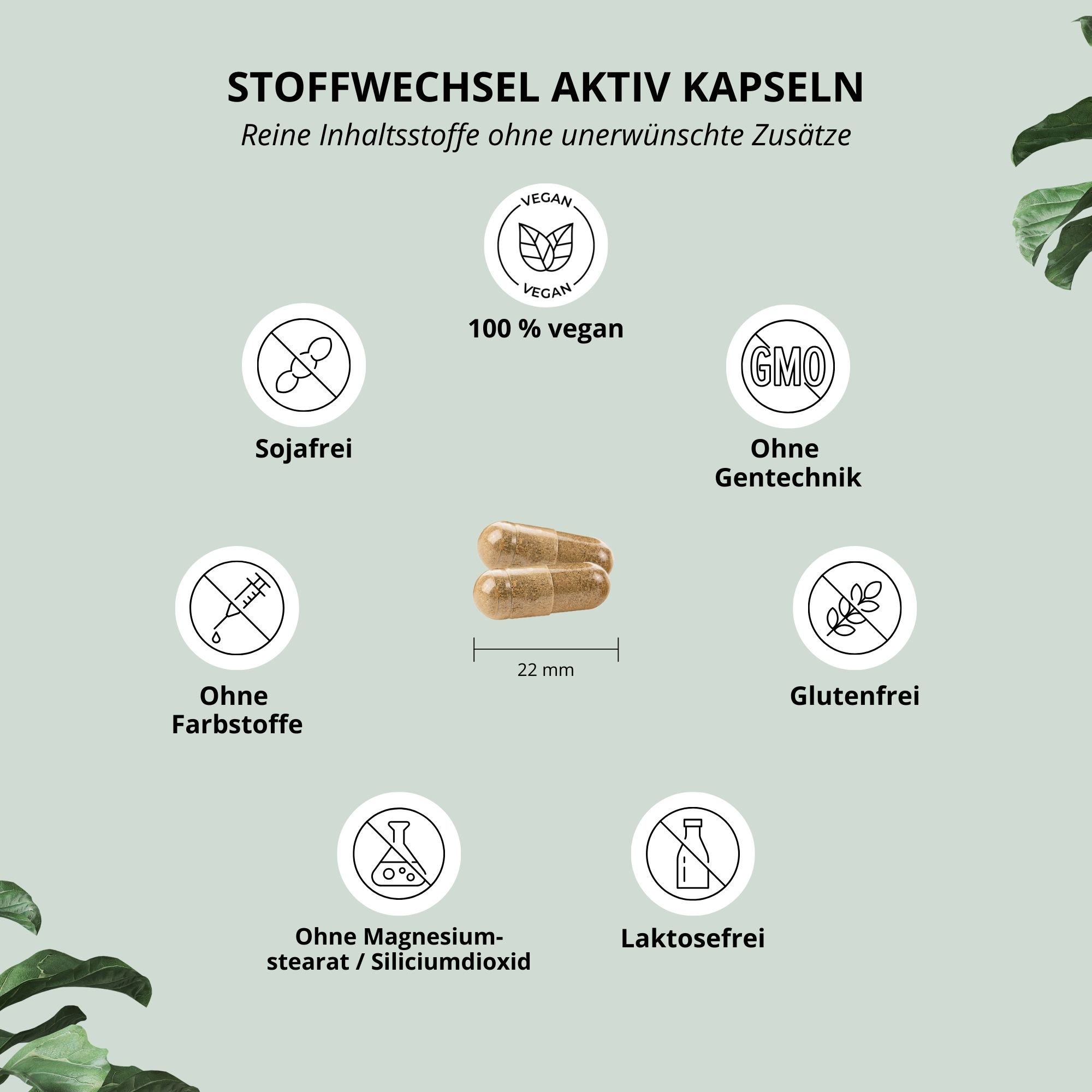 nutri+ Stoffwechsel Aktiv Kapseln