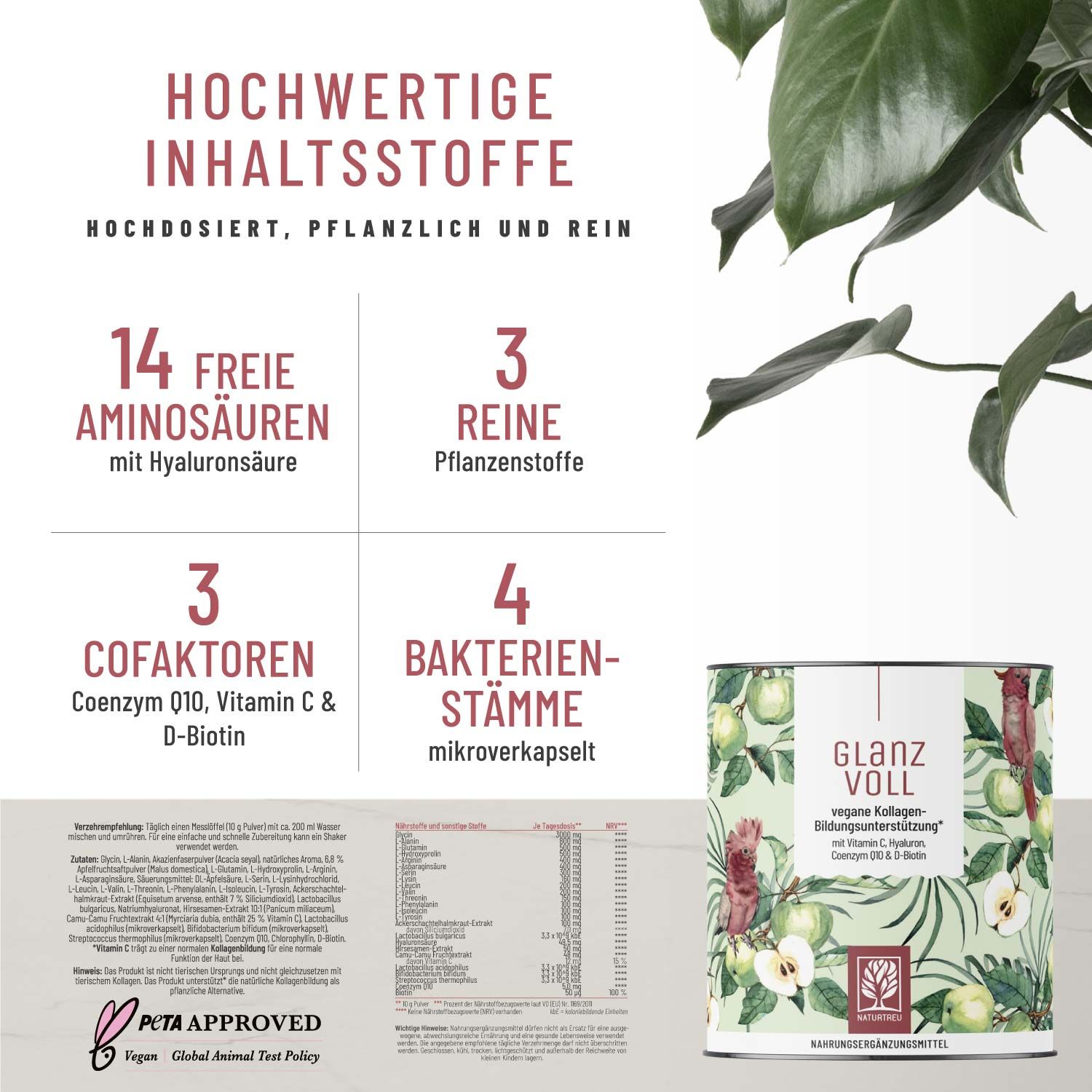 Vegane Kollagen-Bildungsunterstützung* mit Hyaluronsäure, Q10, Biotin - Glanzvoll Naturtreu® 300 g Pulver