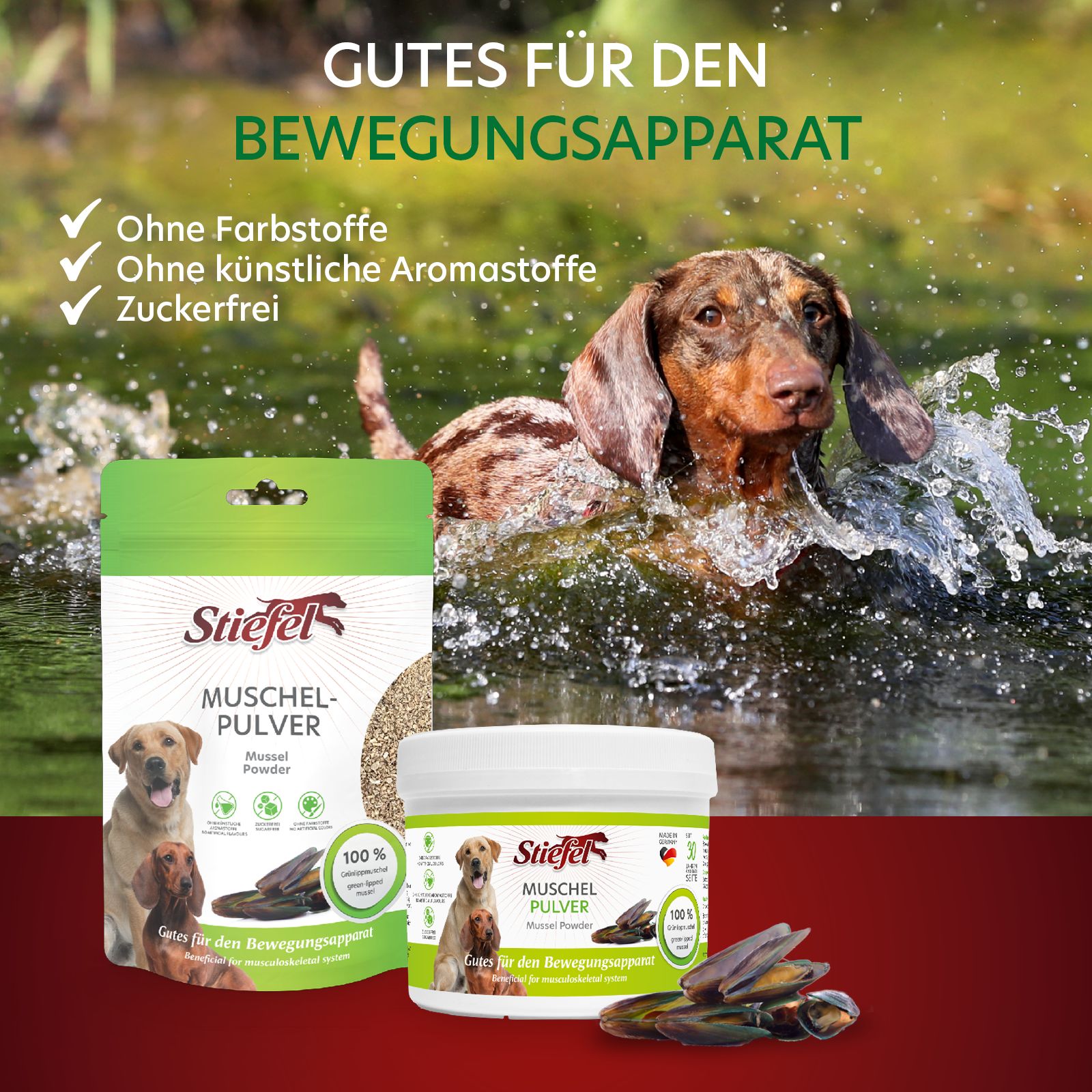 Werbebild mit Stiefel Muschelpulver. Produkte, Hunde und Wasser. Text: Gutes für den Bewegungsapparat.
