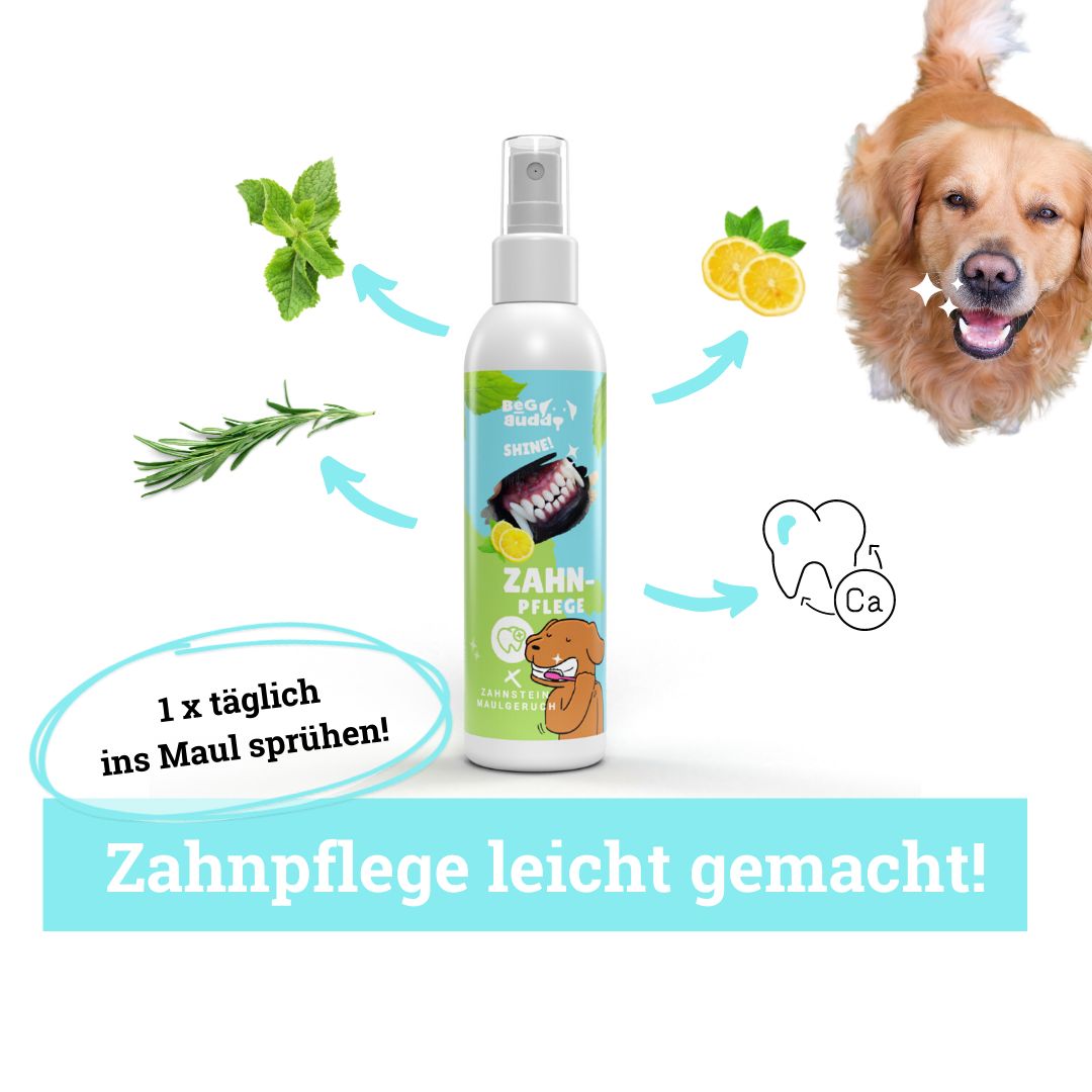 Zahnpflege-Spray für Hunde. Weiße Flasche mit Sprühkopf. Abbildung eines Hundes mit weißen Zähnen. Text: Zahn-Pflege leicht gemacht!