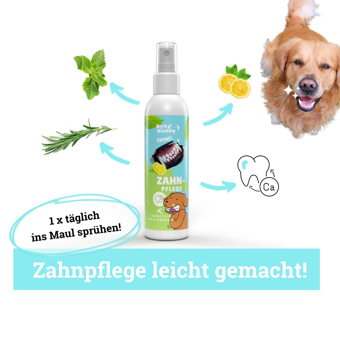 BeG Buddy Zahn weiß Dental Spray, Zahnpflege Hund 0,15 l Spray