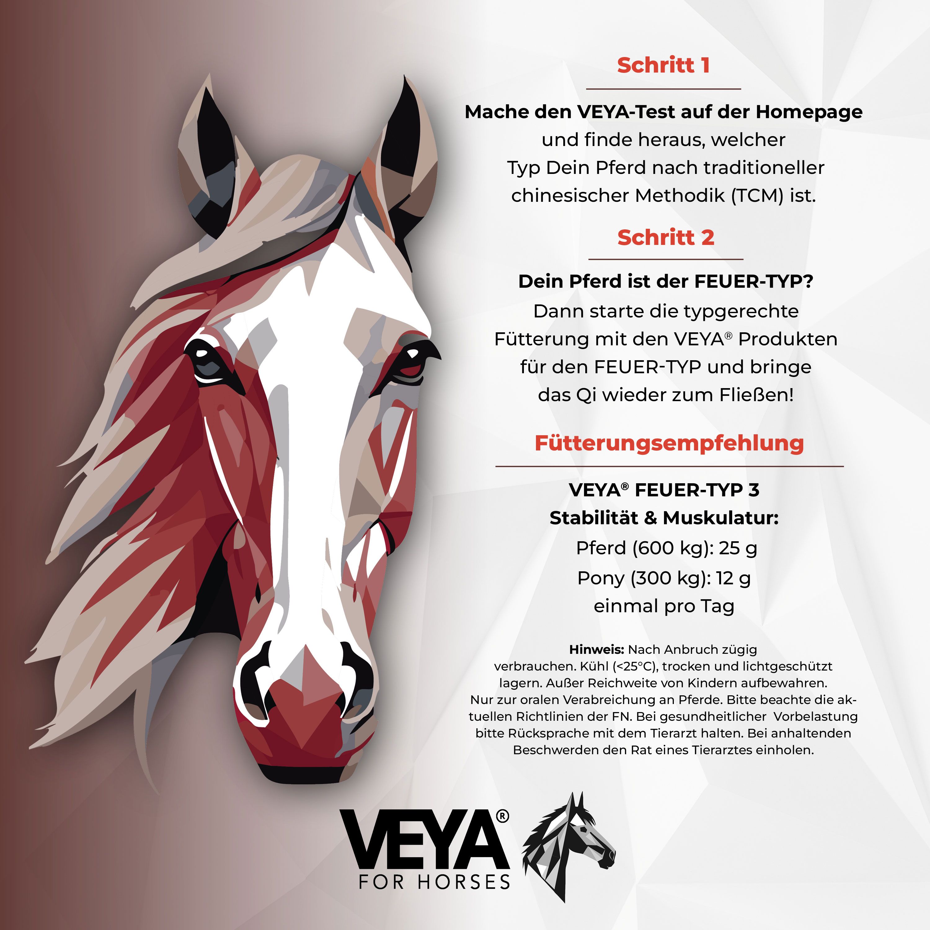 Grafik mit Pferdegesicht und Text. VEYA FEUER-TYP 3 Stabilität & Muskulatur. Fütterungsempfehlung.
