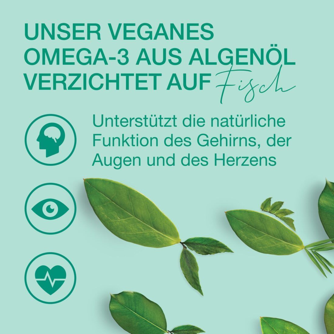 Text auf grünem Hintergrund: Veganes Omega-3 aus Algenöl. Unterstützt Gehirn, Augen und Herz. Icons.