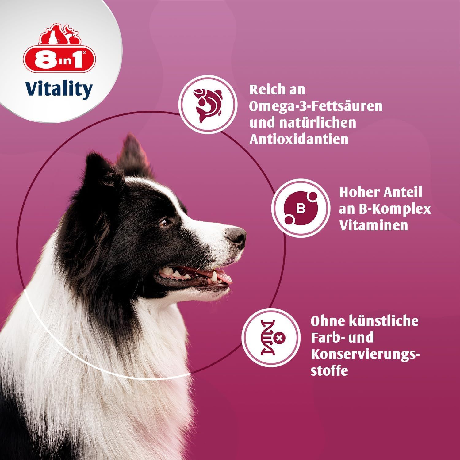Hundekopf mit "8in1 Vitality" Logo. Reich an Omega-3-Fettsäuren, B-Komplex Vitaminen. Ohne künstliche Farb- und Konservierungsstoffe.