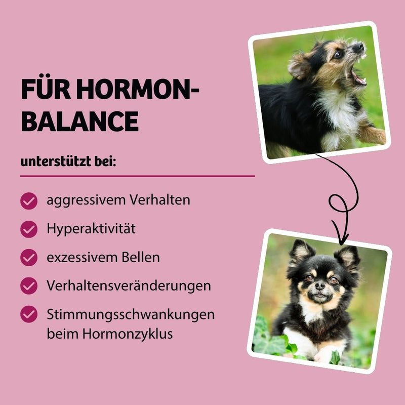 BugBell Weiche Hundeleckeri HappyMood - Hormonbalance & Zufriedenheit