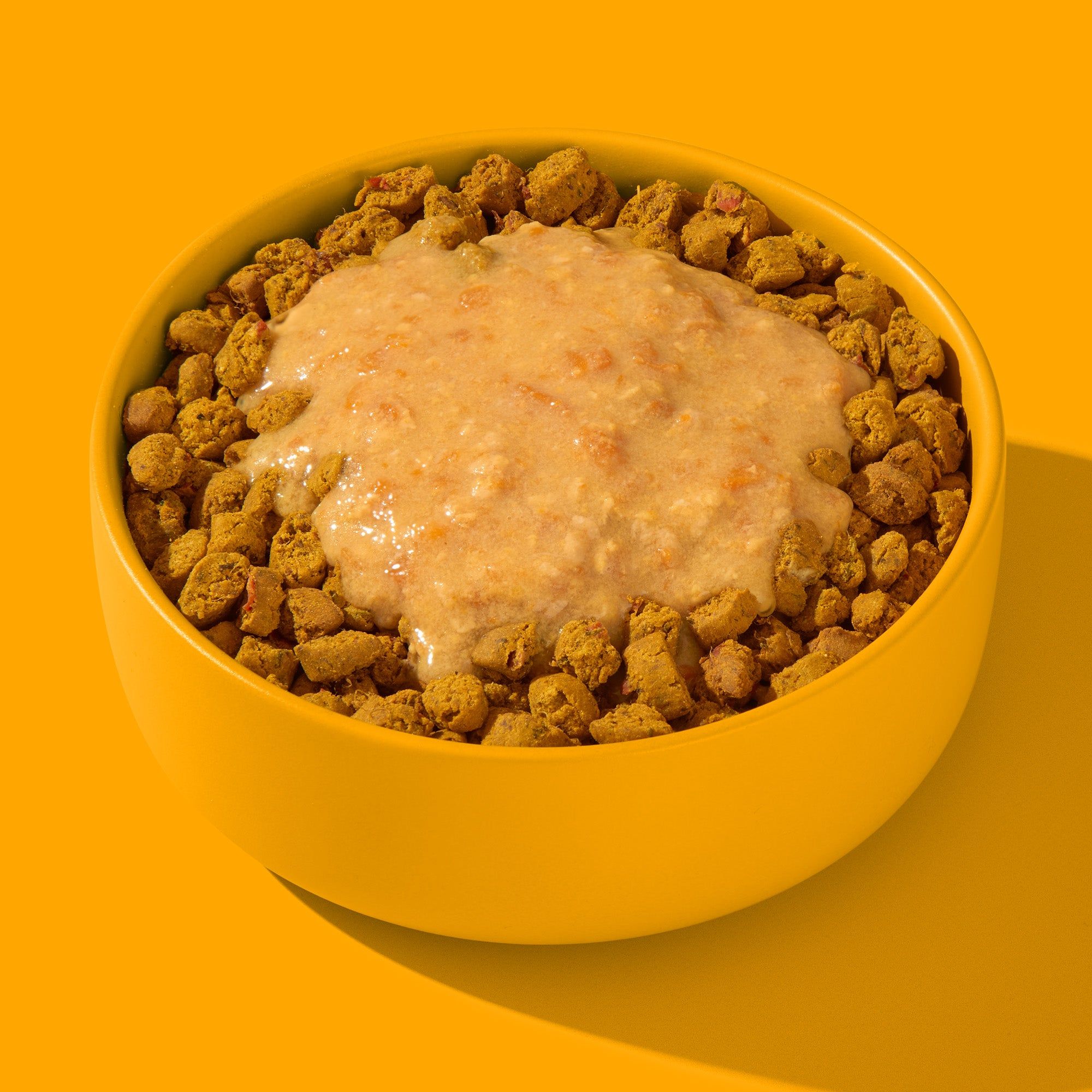 Gelbe Schüssel mit Futter, umgeben von Trockenfutter. Inhalt: Brei mit Stückchen.