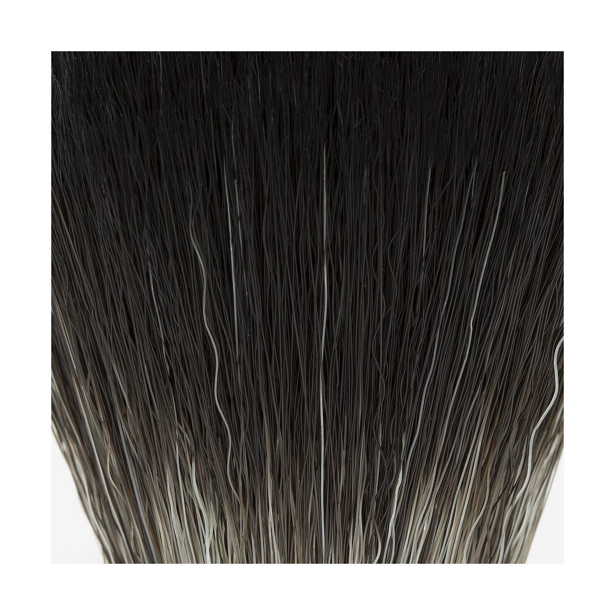 Pinselborsten, schwarz-grau. Detailaufnahme. Haare mit Farbverlauf.