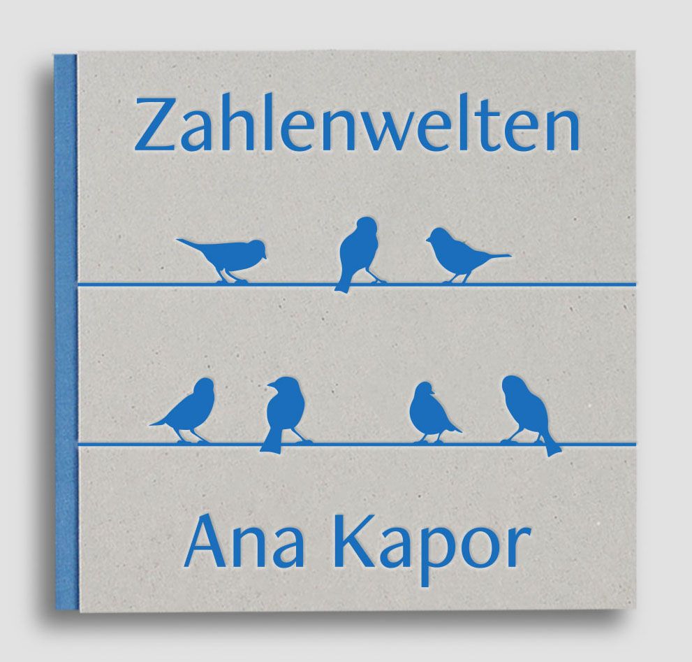 Buchcover mit blauem Titel "Zahlenwelten" und Autor "Ana Kapor". Sechs blaue Vögel auf Linien.