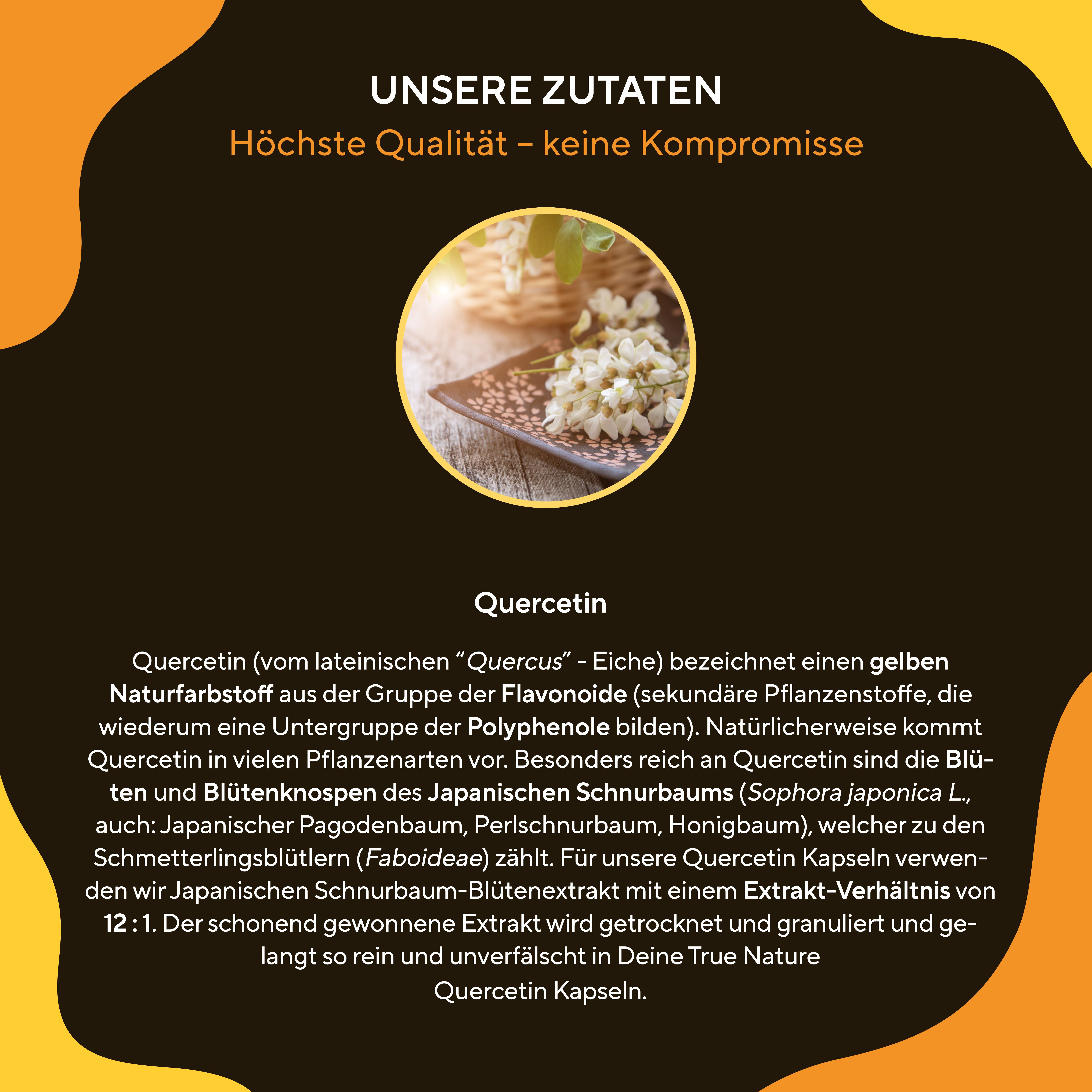 TRUE NATURE® Quercetin Kapseln