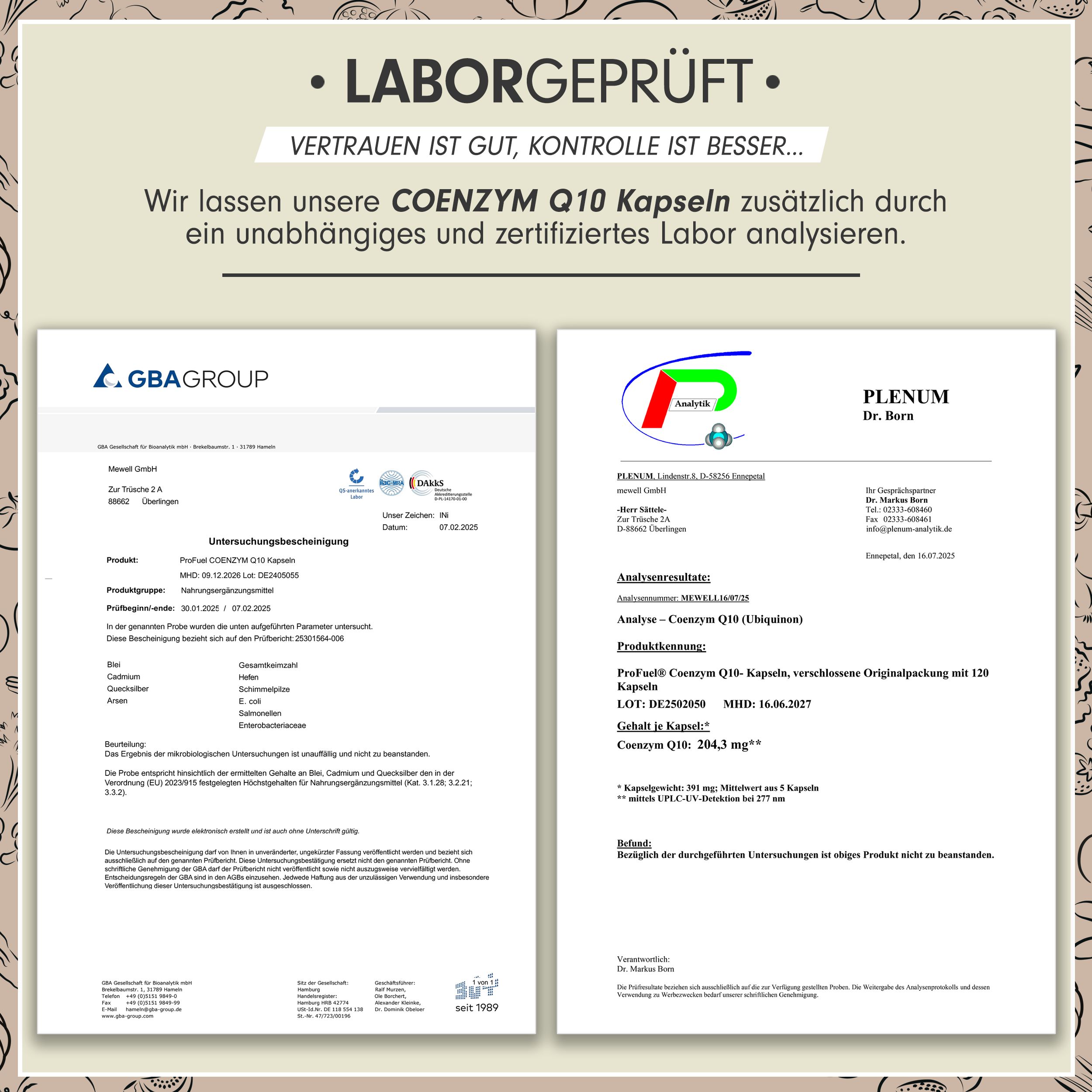 Profuel - Q10 Kapseln hochdosiert 240x mit 200mg Coenzym Q10 pro Kapsel