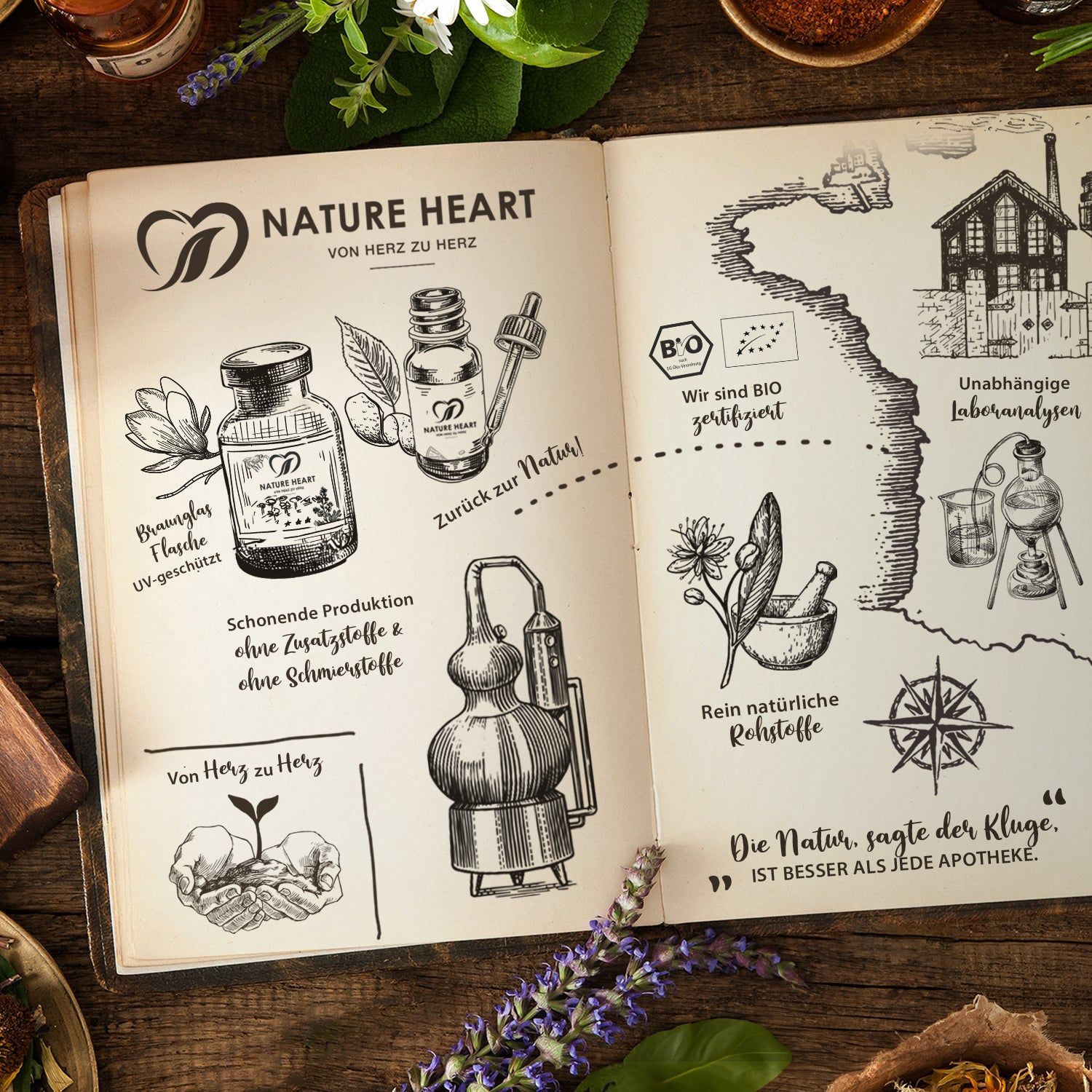 Gezeichnetes Buch. Produkte: Flasche, Tropfflasche. Text: Nature Heart, Braunglasflasche, ohne Zusatzstoffe. Illustrationen.