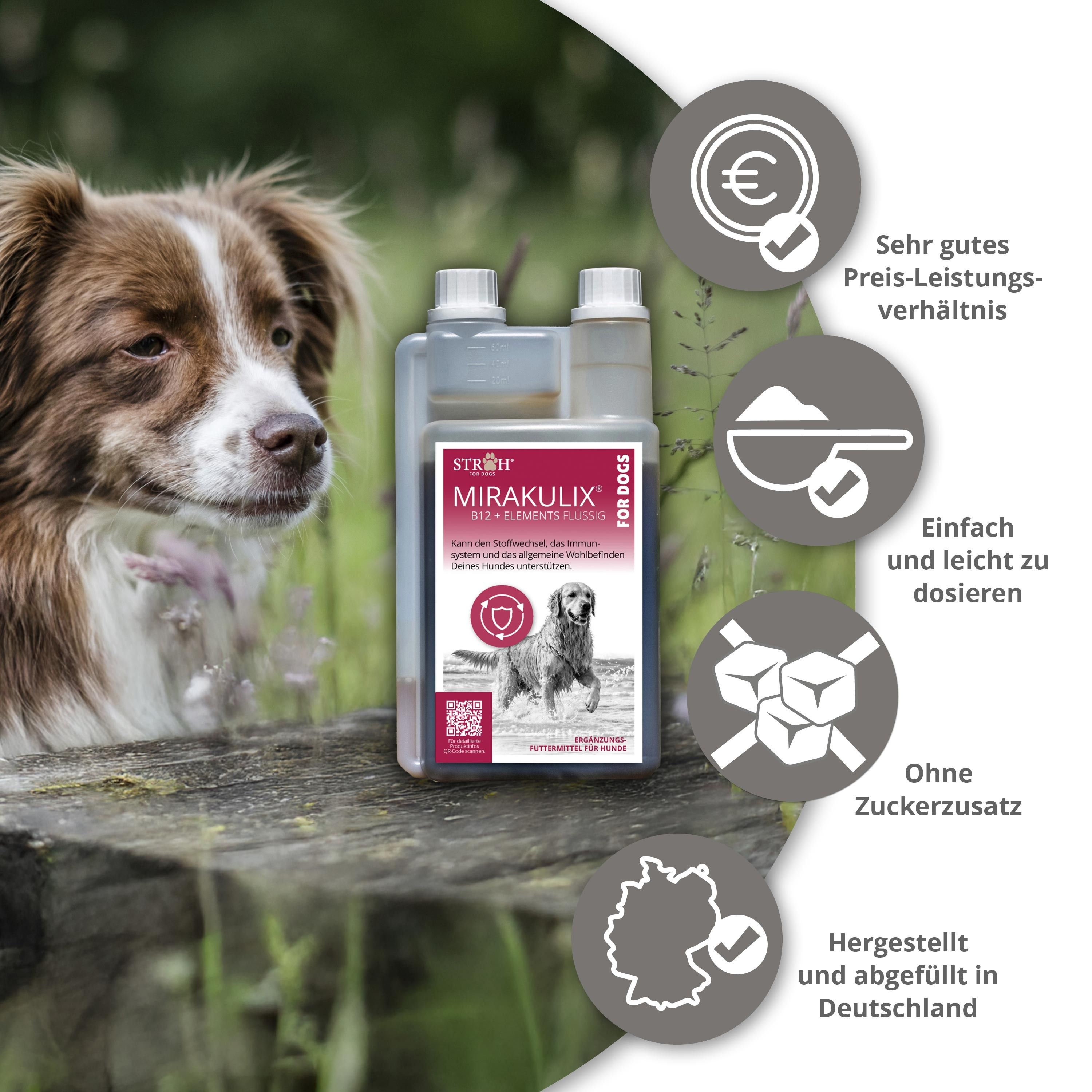 STRÖH MIRAKULIX B12 + ELEMENTS FLÜSSIG für Hunde, neben einem Hund. Hervorhebung von Vorteilen wie Preis-Leistungs-Verhältnis, einfache Dosierung und Herstellung in Deutschland.