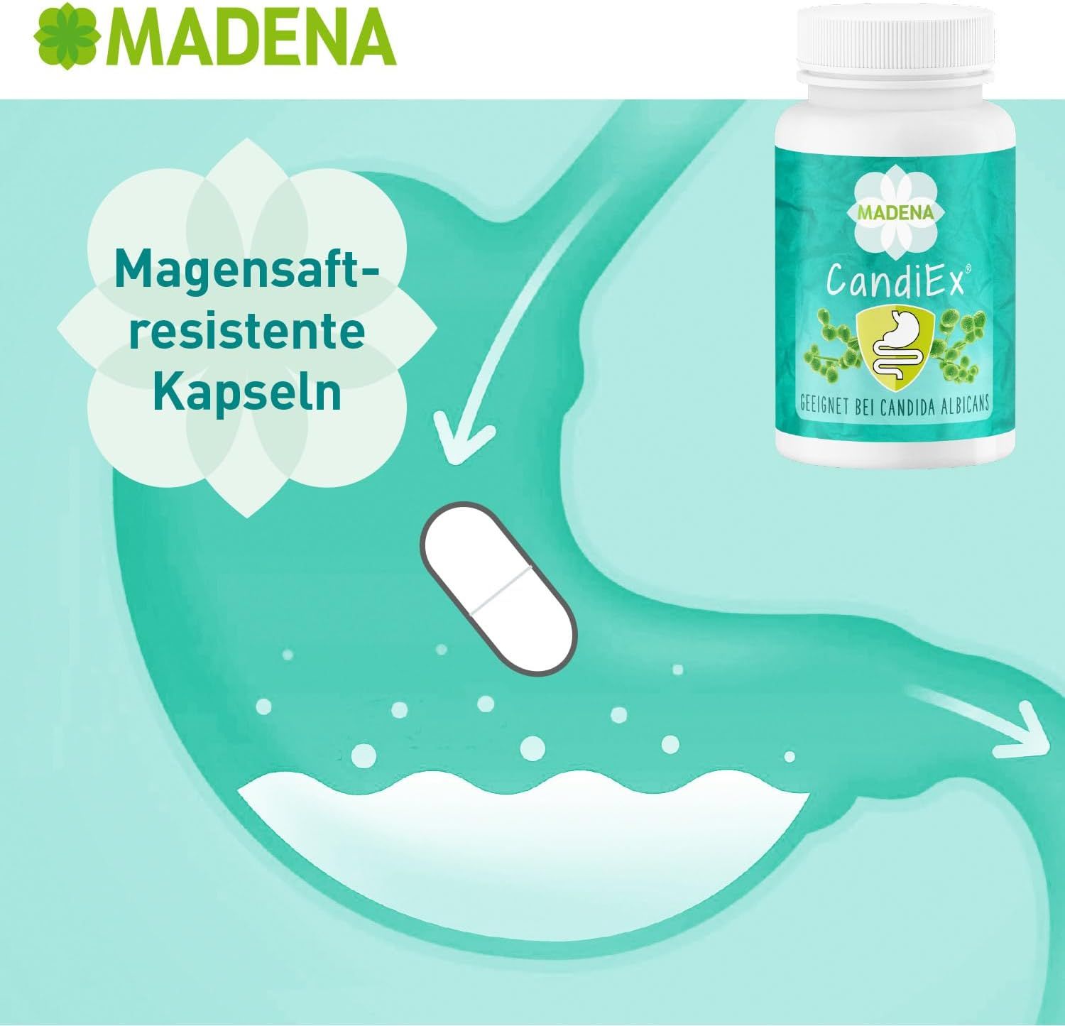 Kapsel im Magen. MADENA CandiEx Darmflora Kapseln-Dose. Text: Magensaftresistente Kapseln.