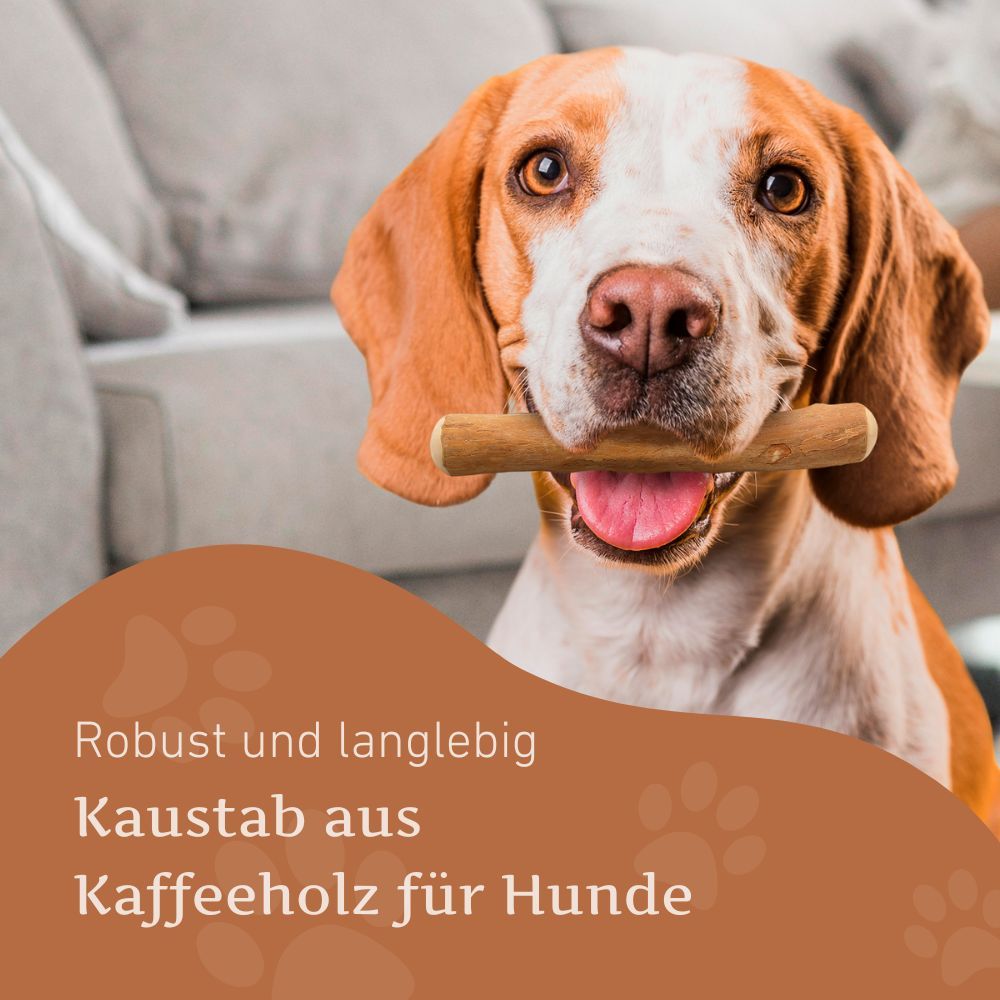 WILDFANG® Kaffeeholz-Kaustab Kauknochen Kauholz