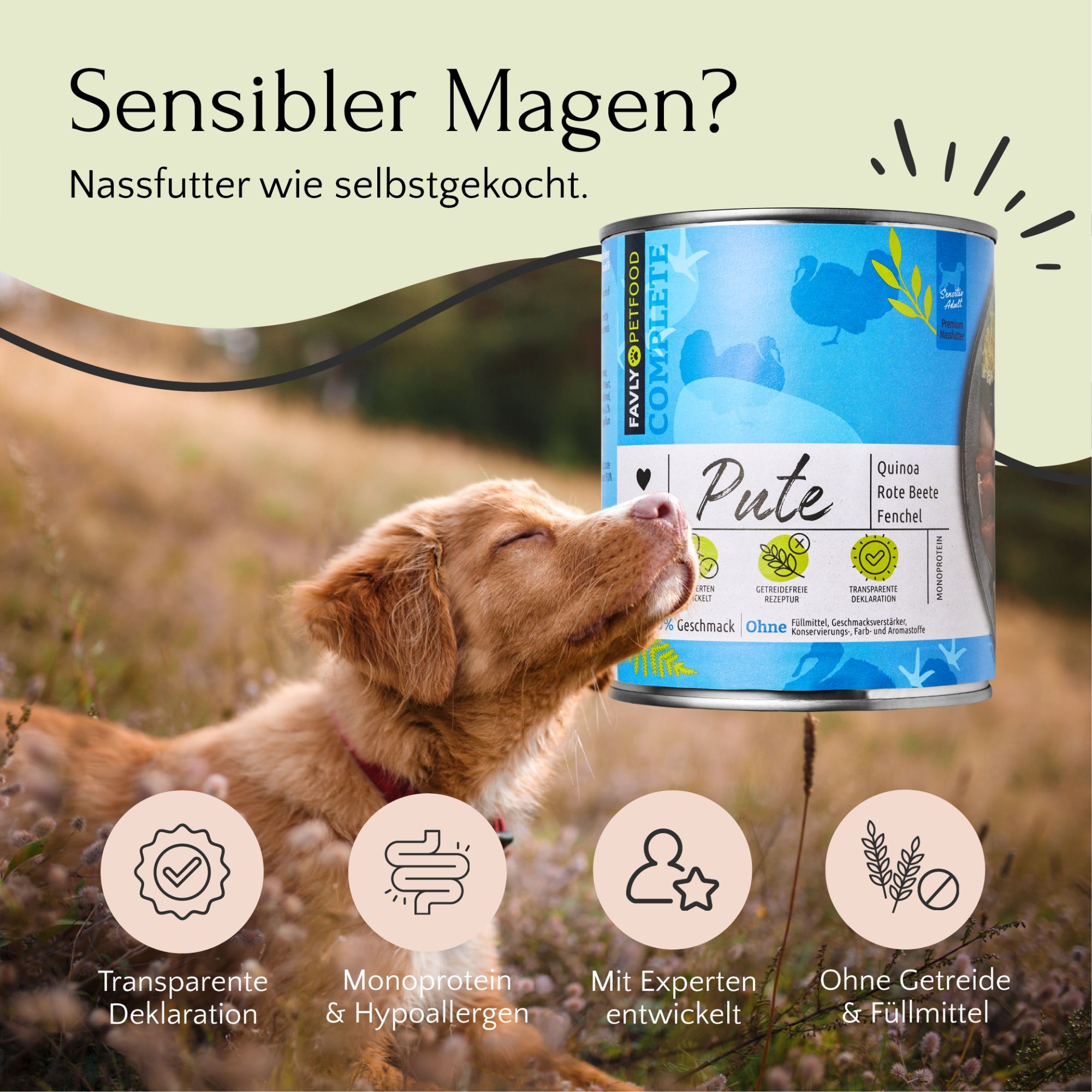 Hunde Nassfutter Pute mit Quinoa, Rote Beete & Fenchel in Dose. Hund schnuppert an Dose. Text: Sensibler Magen? Nassfutter wie selbstgekocht.