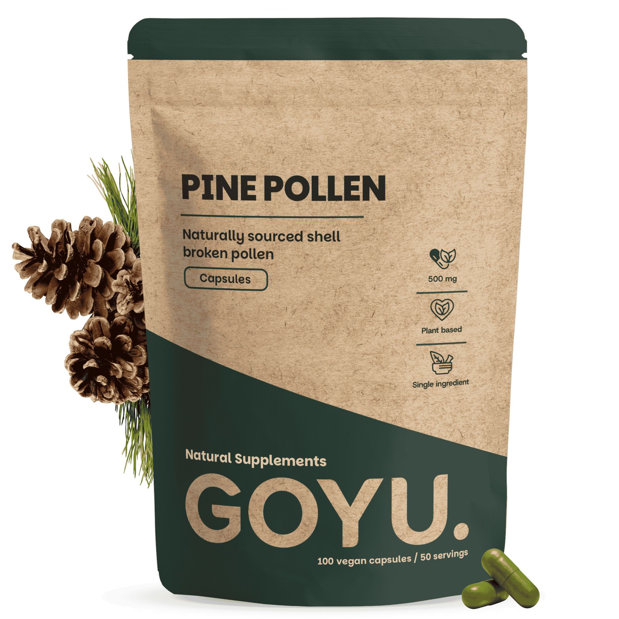 Braune Pouch mit Kiefernpollen-Kapseln, 100 Stück. Enthält Kiefernzapfen und Nadeln.