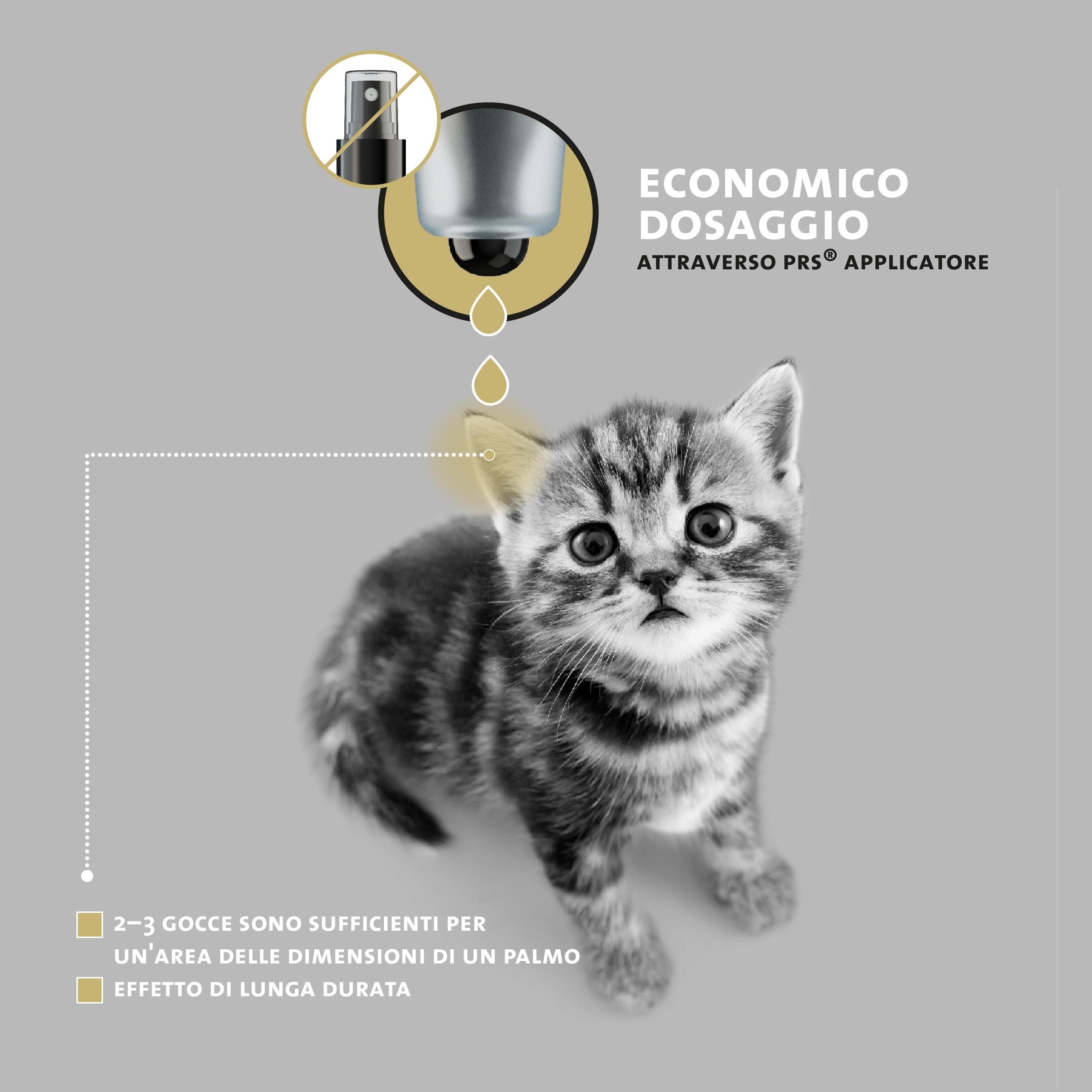 Kätzchen mit Applikator. Text: Sparsame Dosierung. 2-3 Tropfen genügen für eine handflächengroße Stelle.