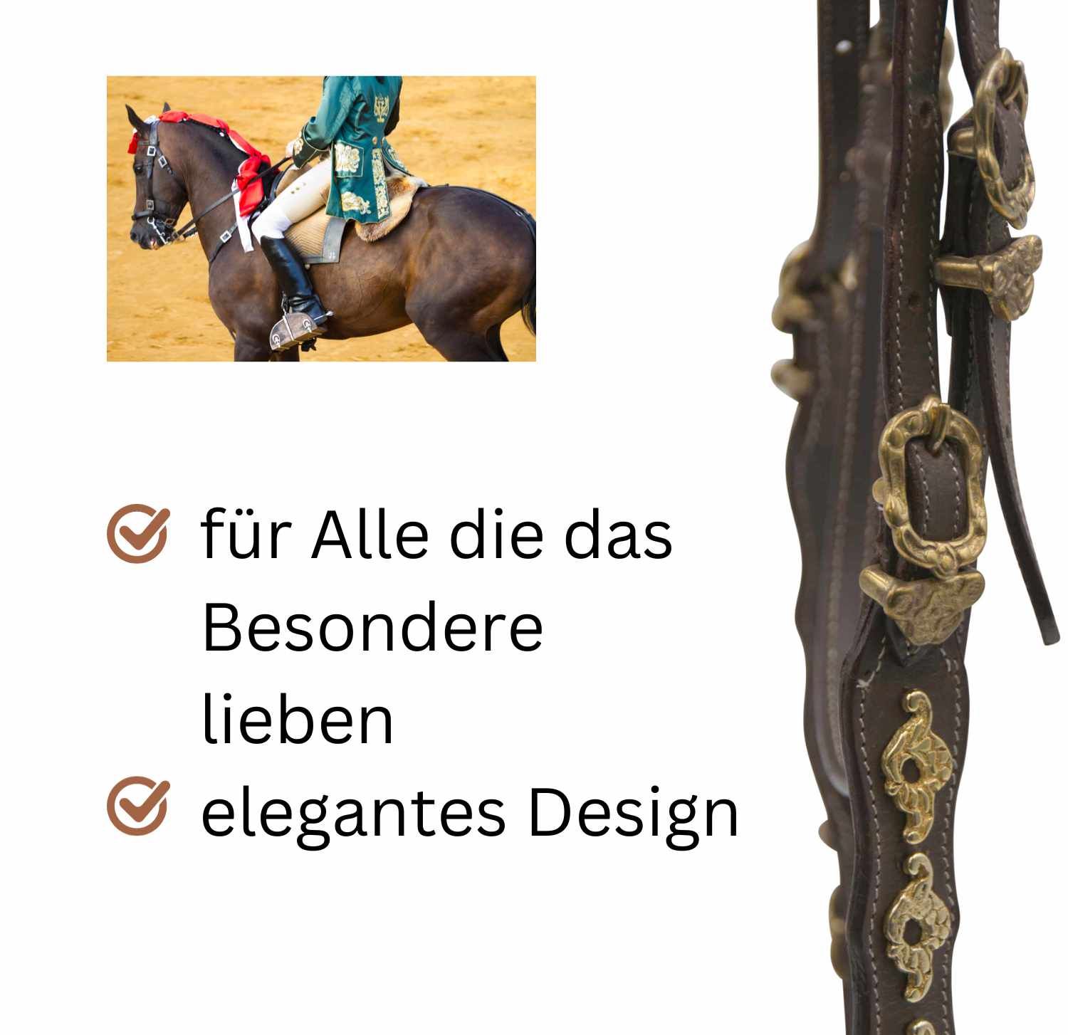 Detailansicht der Trense. Braunes Leder mit goldenen Beschlägen. Text: 'für Alle die das Besondere lieben' und 'elegantes Design'.