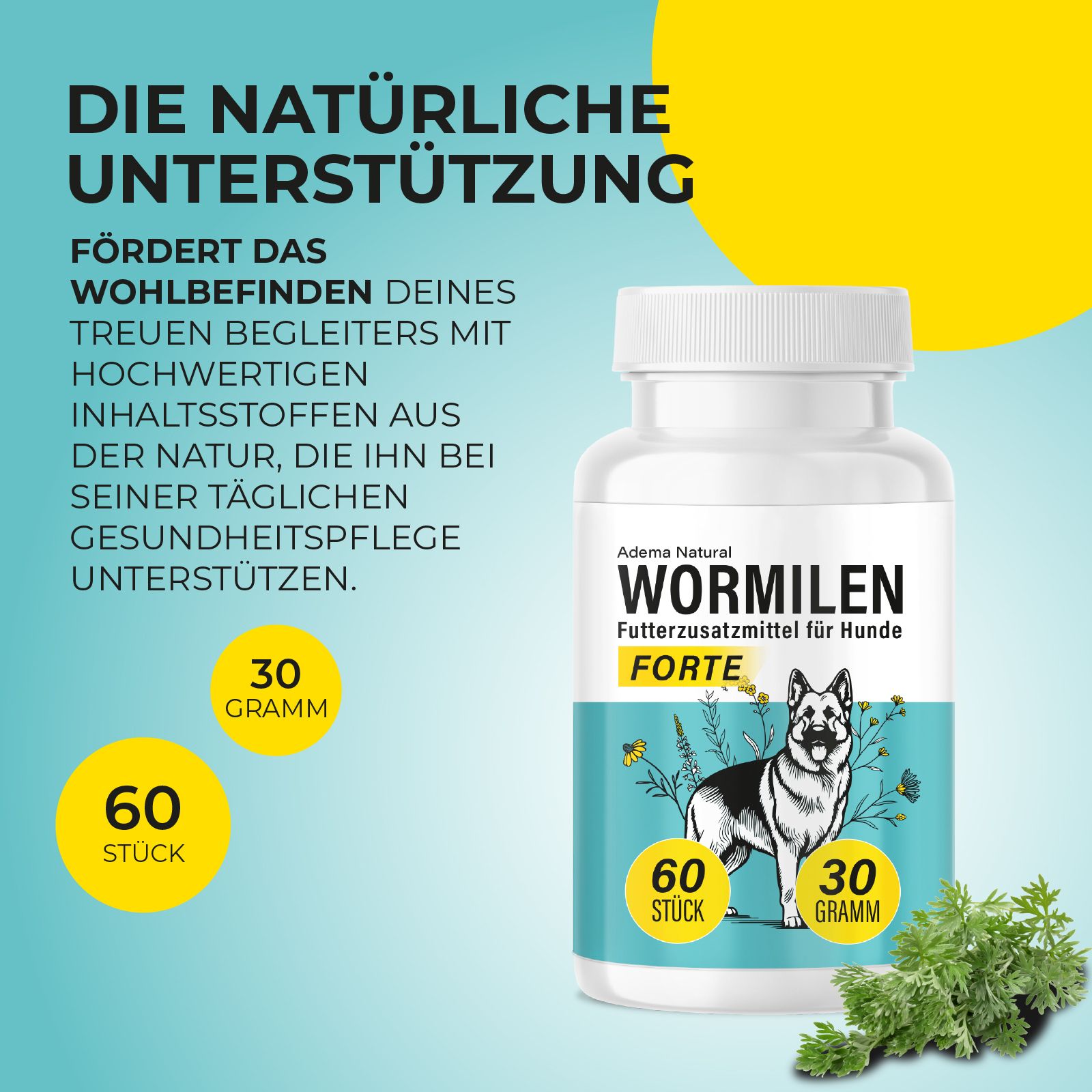 Produktflasche mit Etikett. Text: Adema Natural Wormilen Forte, 60 Stück, 30 Gramm. Hund auf der Verpackung.