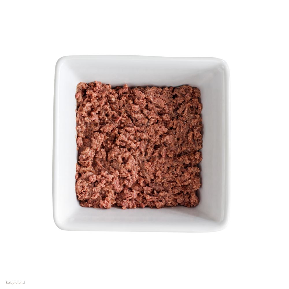 Hundefutter in quadratischer, weißer Schale. Gehacktes, braunes Fleisch.