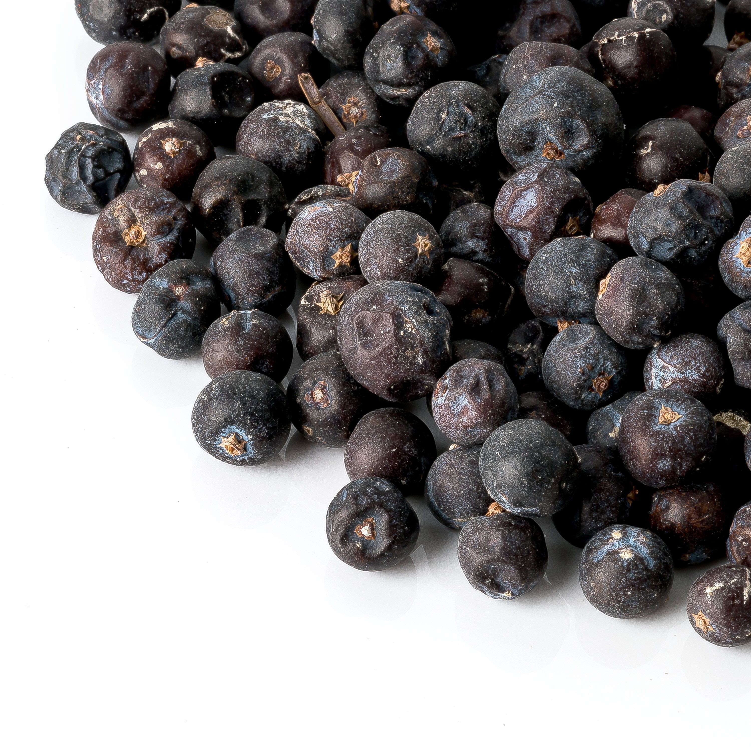 Haufen von Wacholderbeeren. Dunkelblaue, runzelige Beeren. Weißer Hintergrund.
