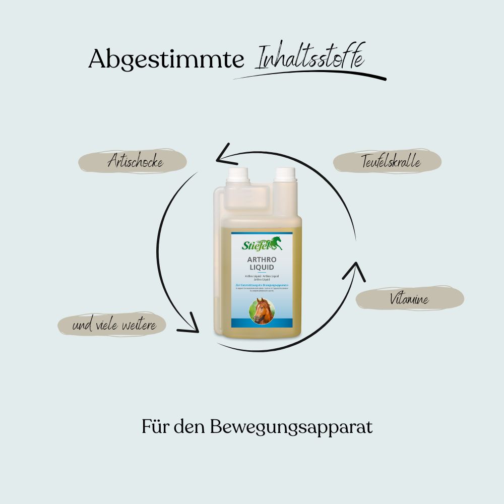 Flasche mit Etikett. Text: Stiefel Arthro Liquid. Umgebende Pfeile mit Inhaltsstoffen: Artischocke, Teufelskralle, Vitamine.