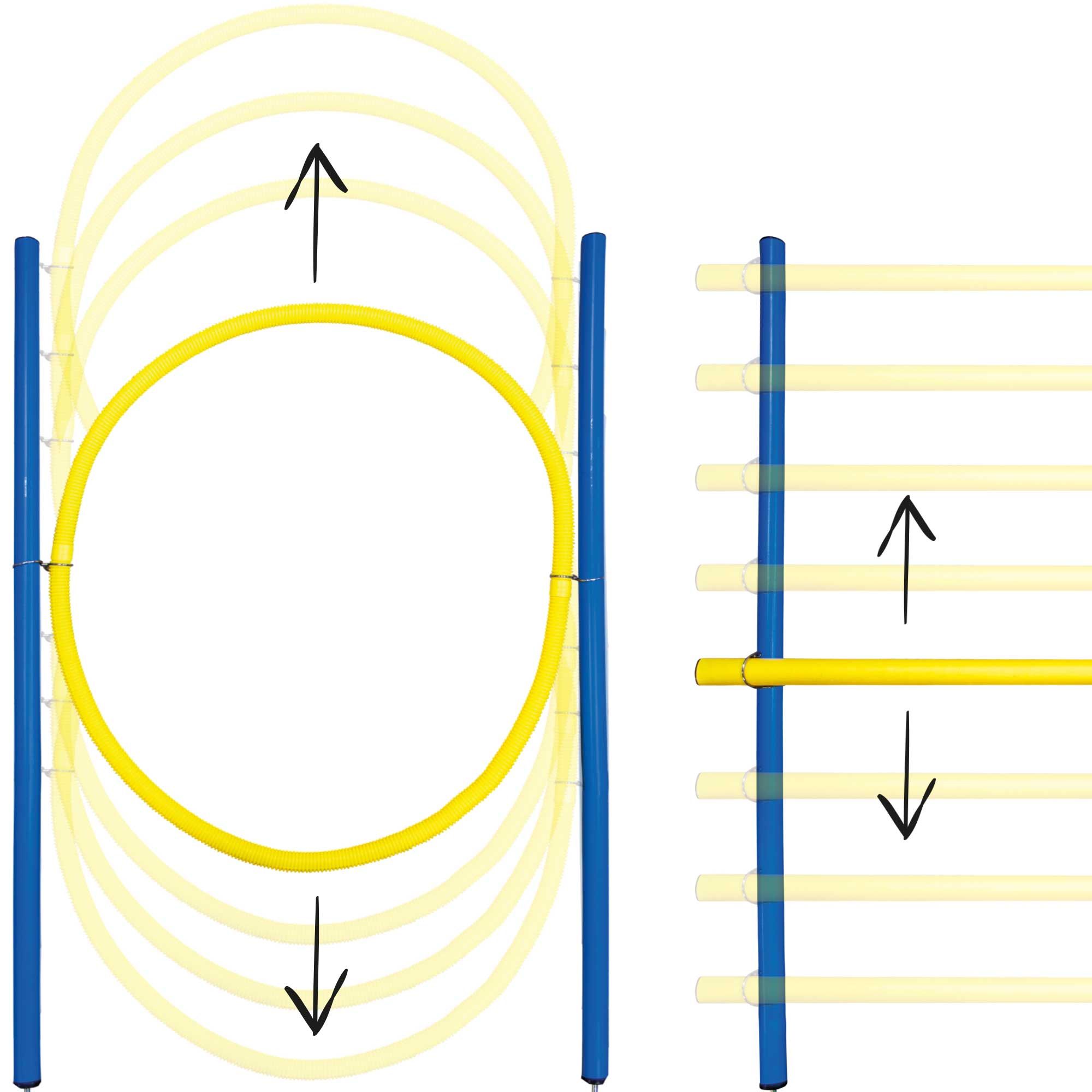 Hundespielzeug - Dog Agility Set