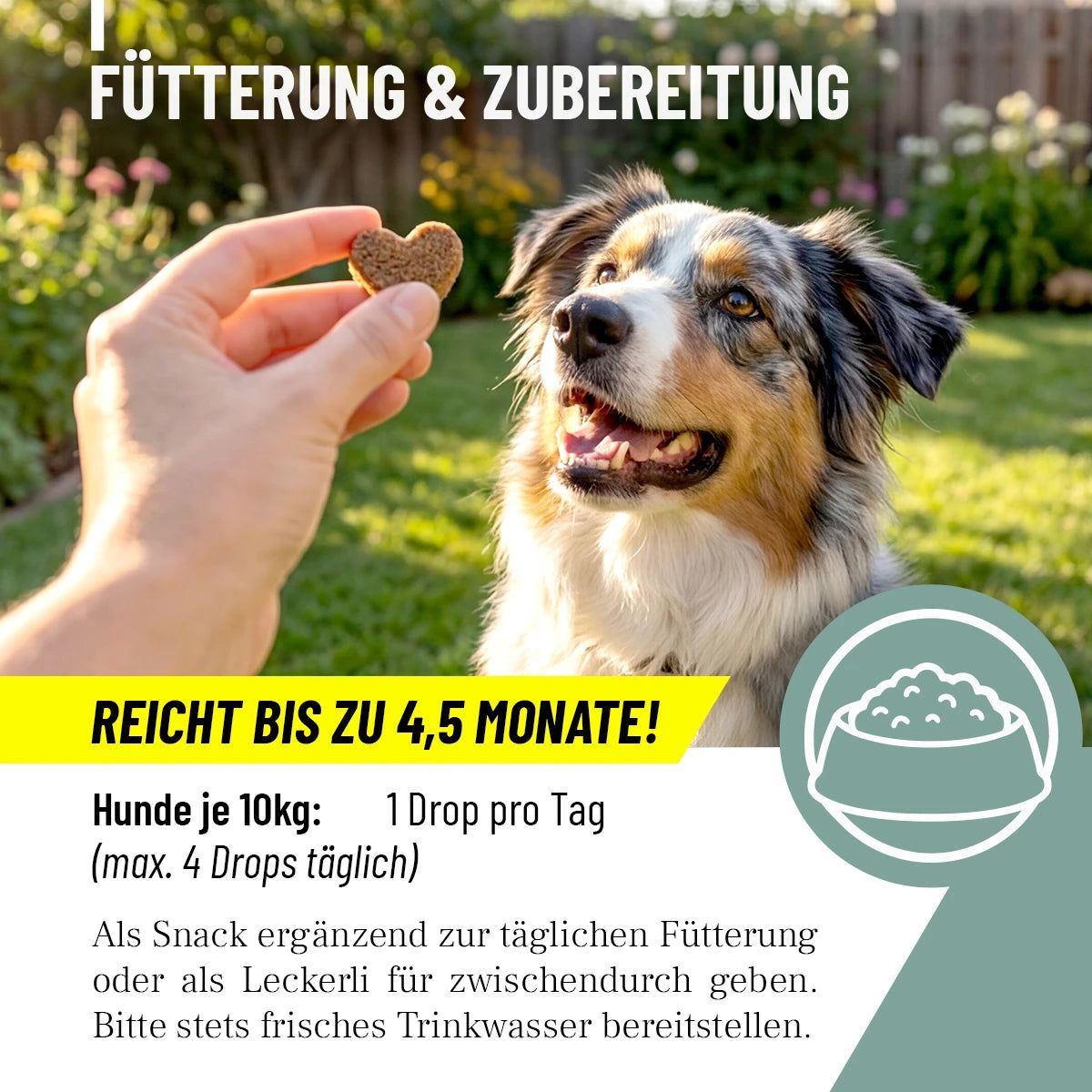 Hand hält herzförmiges Leckerli vor Hund. Text: Fütterung & Zubereitung, reicht bis zu 4,5 Monate! 1 Drop pro Tag.