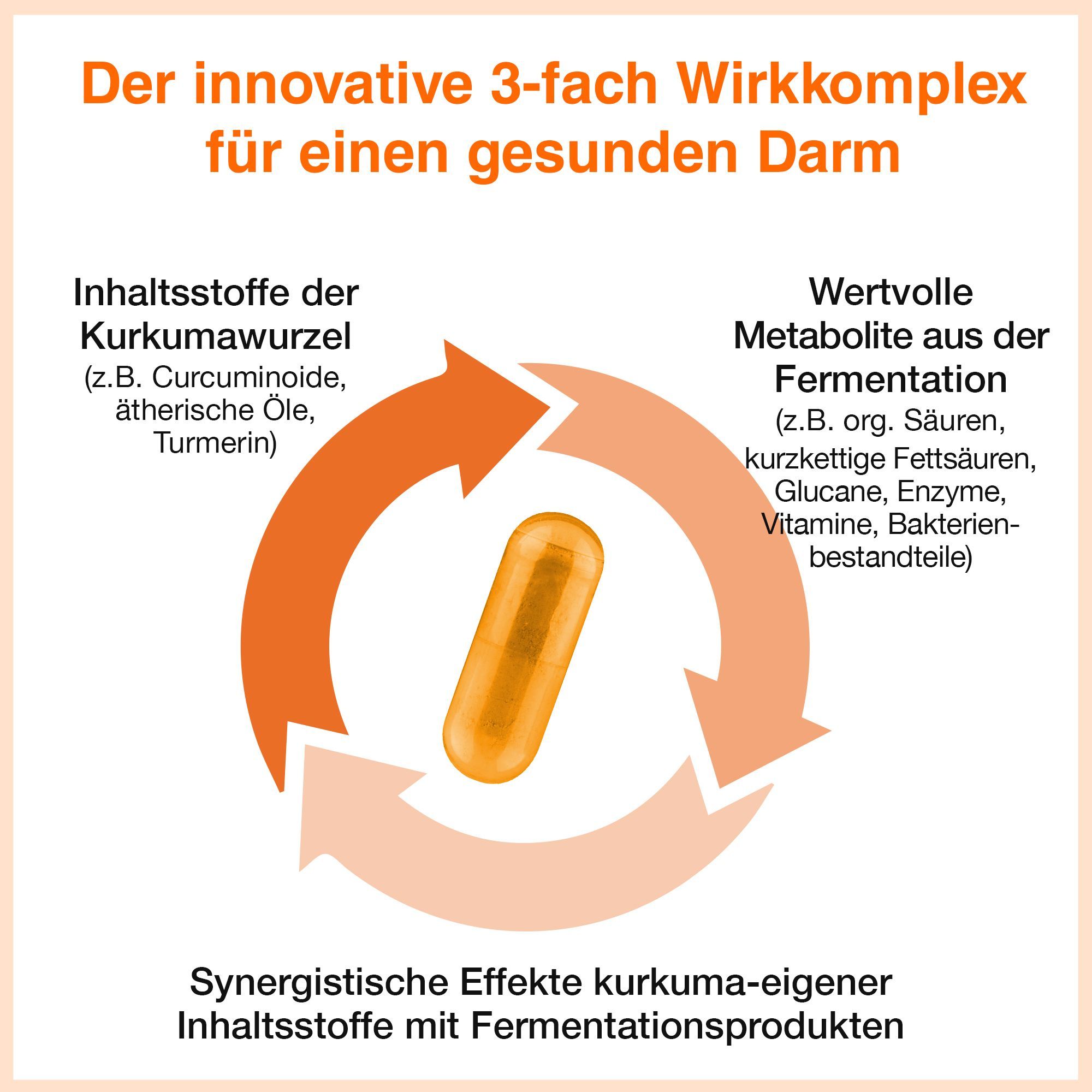 Acurmin Ferment Kurkuma Pfeffer Kapseln