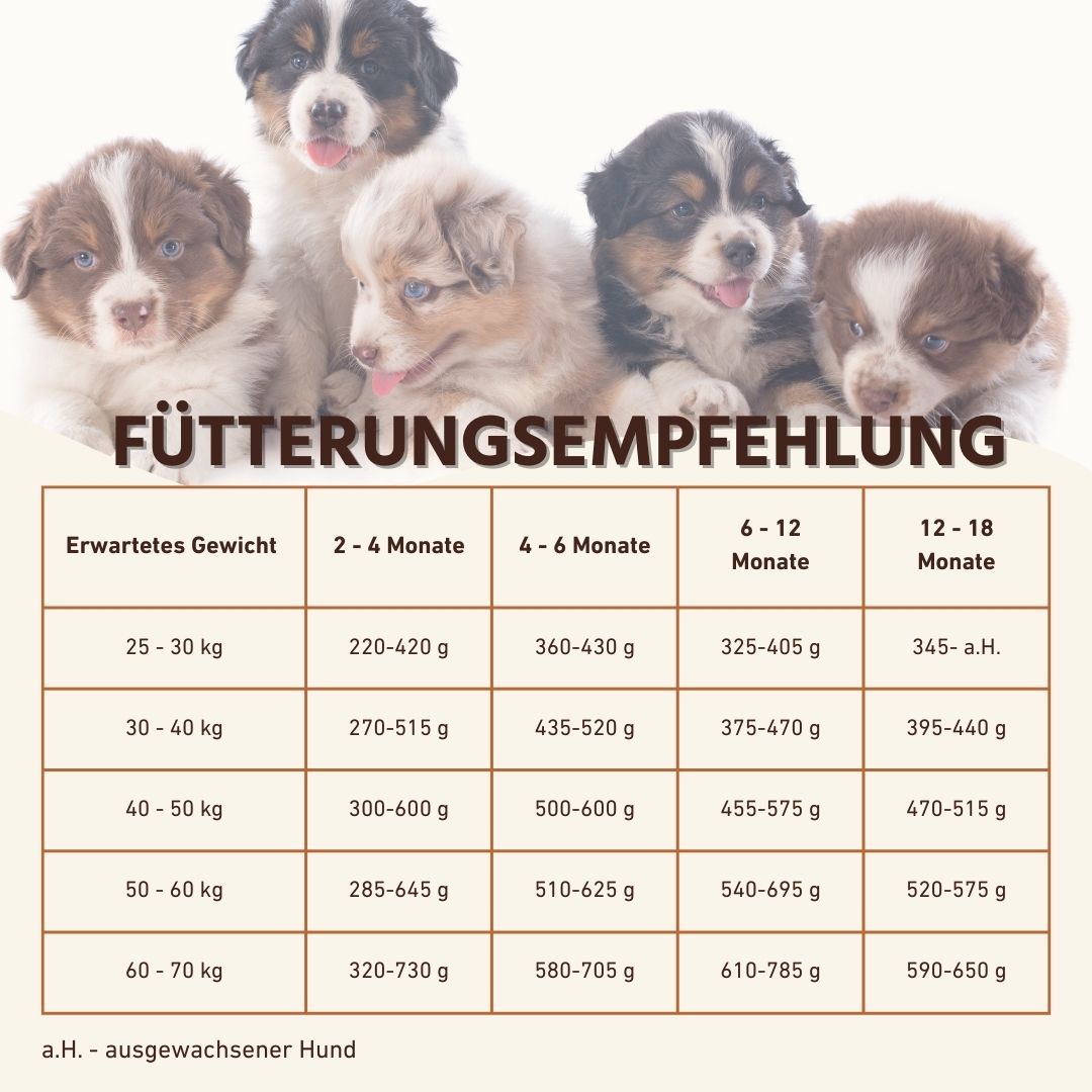 Fütterungsempfehlungstabelle für Welpen nach Gewicht und Alter. Enthält Angaben in Gramm.