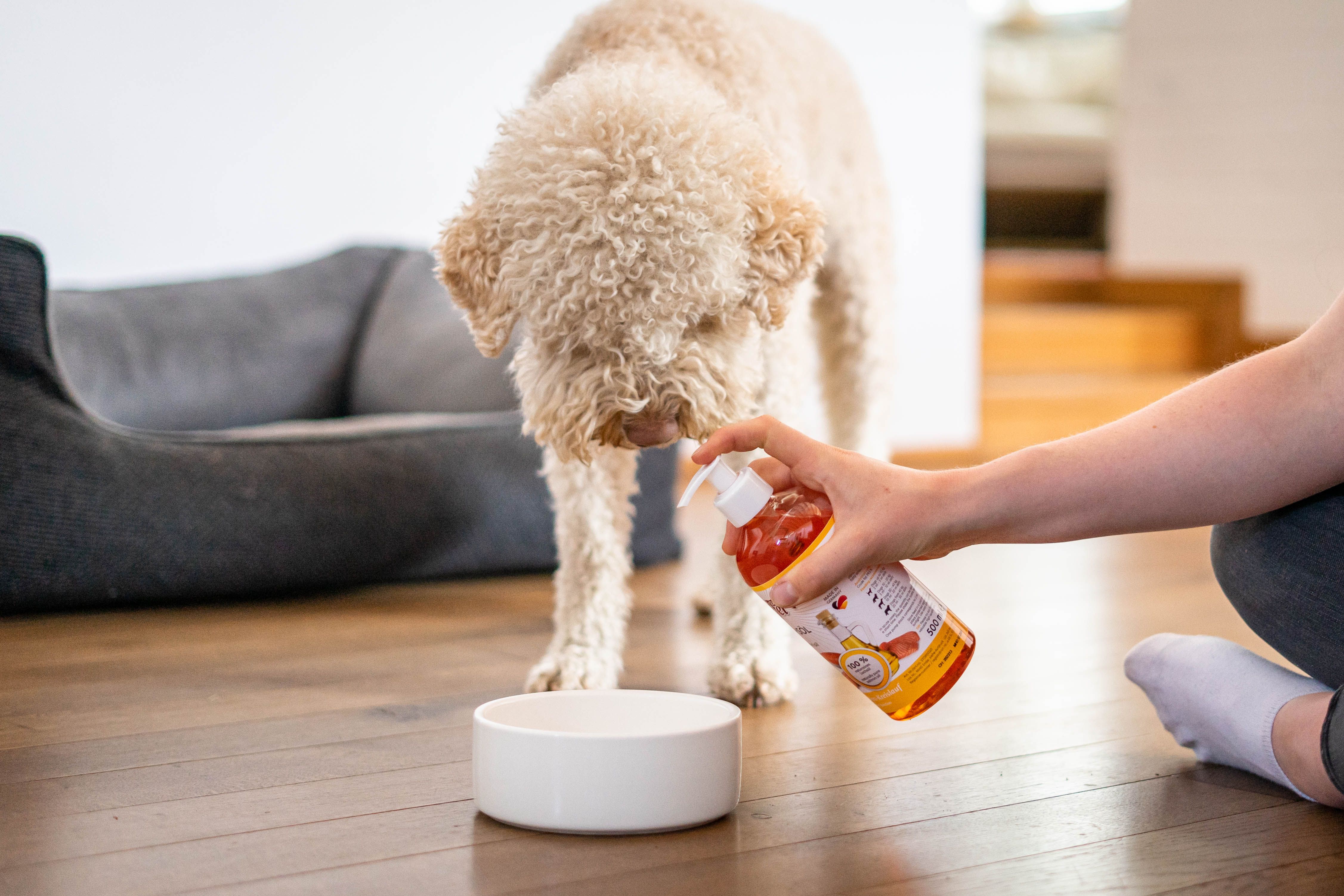 Person hält eine Flasche Stiefel Lachsöl über einer leeren Futterschüssel. Ein Hund steht daneben.