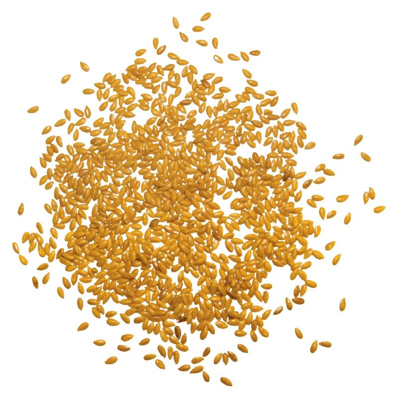 Haufen goldener Leinsamen auf weißem Hintergrund. Einzelne Samen sichtbar.