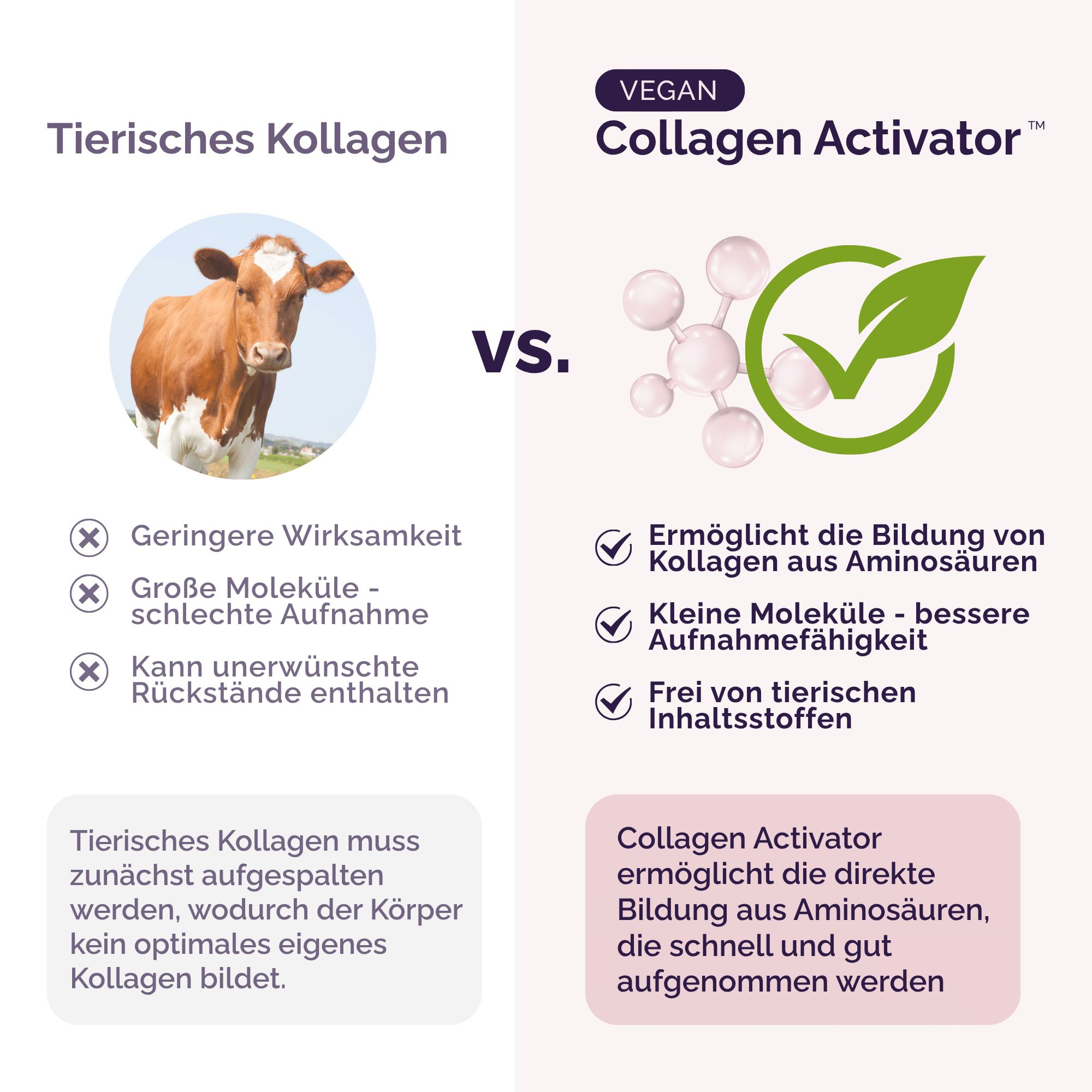 Almadea - Vegan Collagen Activator