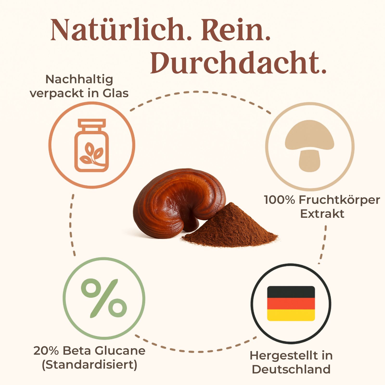 Grafik mit Pilz, Pulver und Glas. Text: 20% Beta Glucane, hergestellt in Deutschland, 100% Fruchtkörperextrakt.