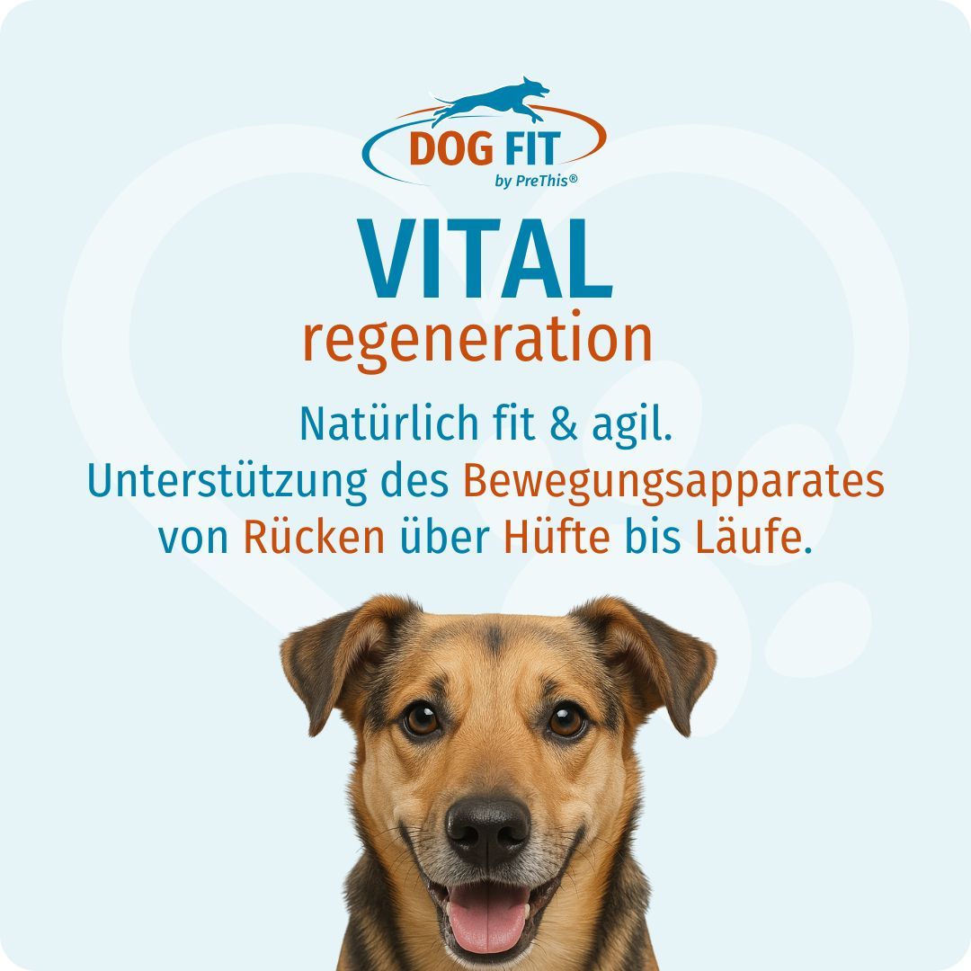 Hund vor blauem Hintergrund. Text: DOG FIT, Vital Regeneration. Natürliche Unterstützung des Bewegungsapparates.