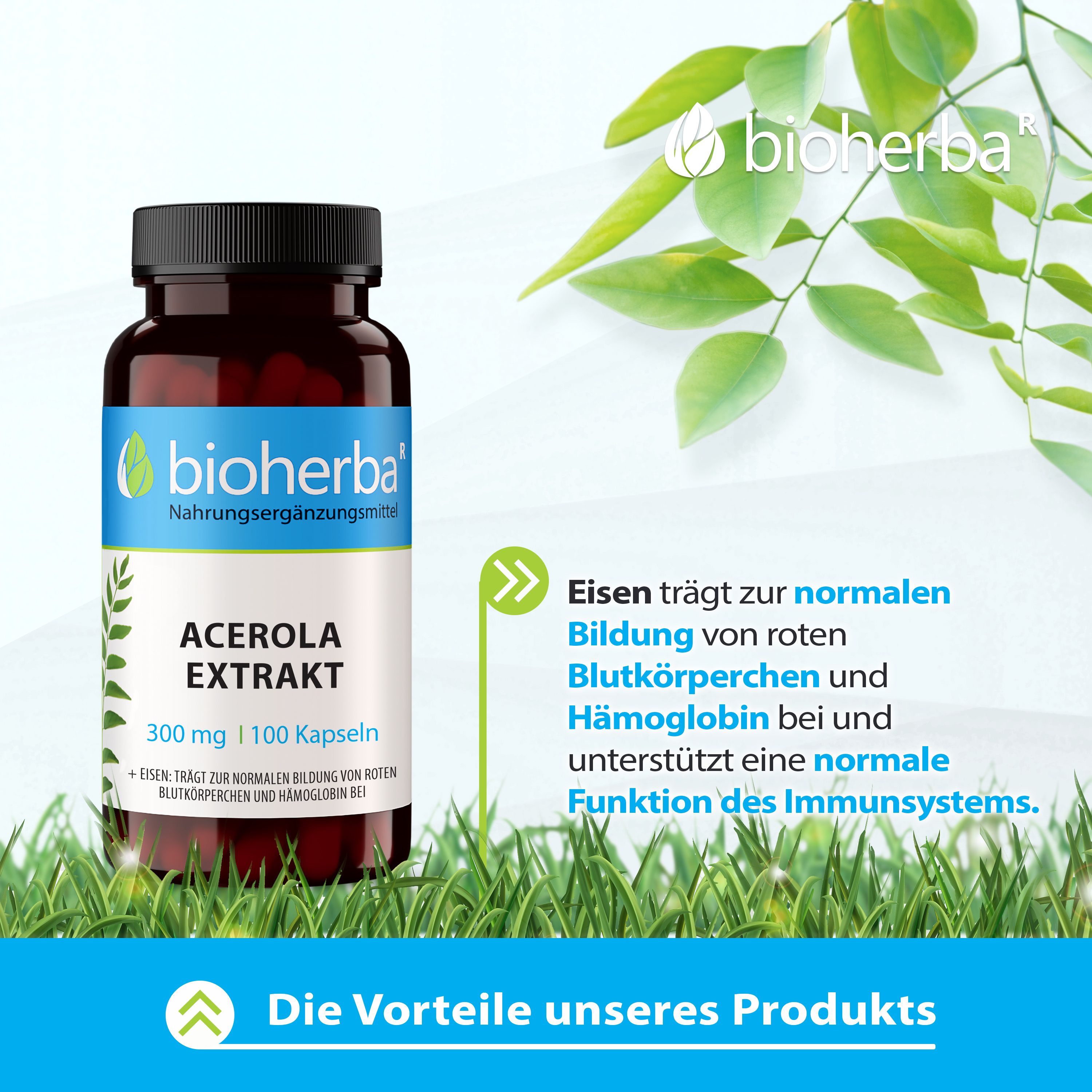 Bioherba Acerola Extrakt Kapseln