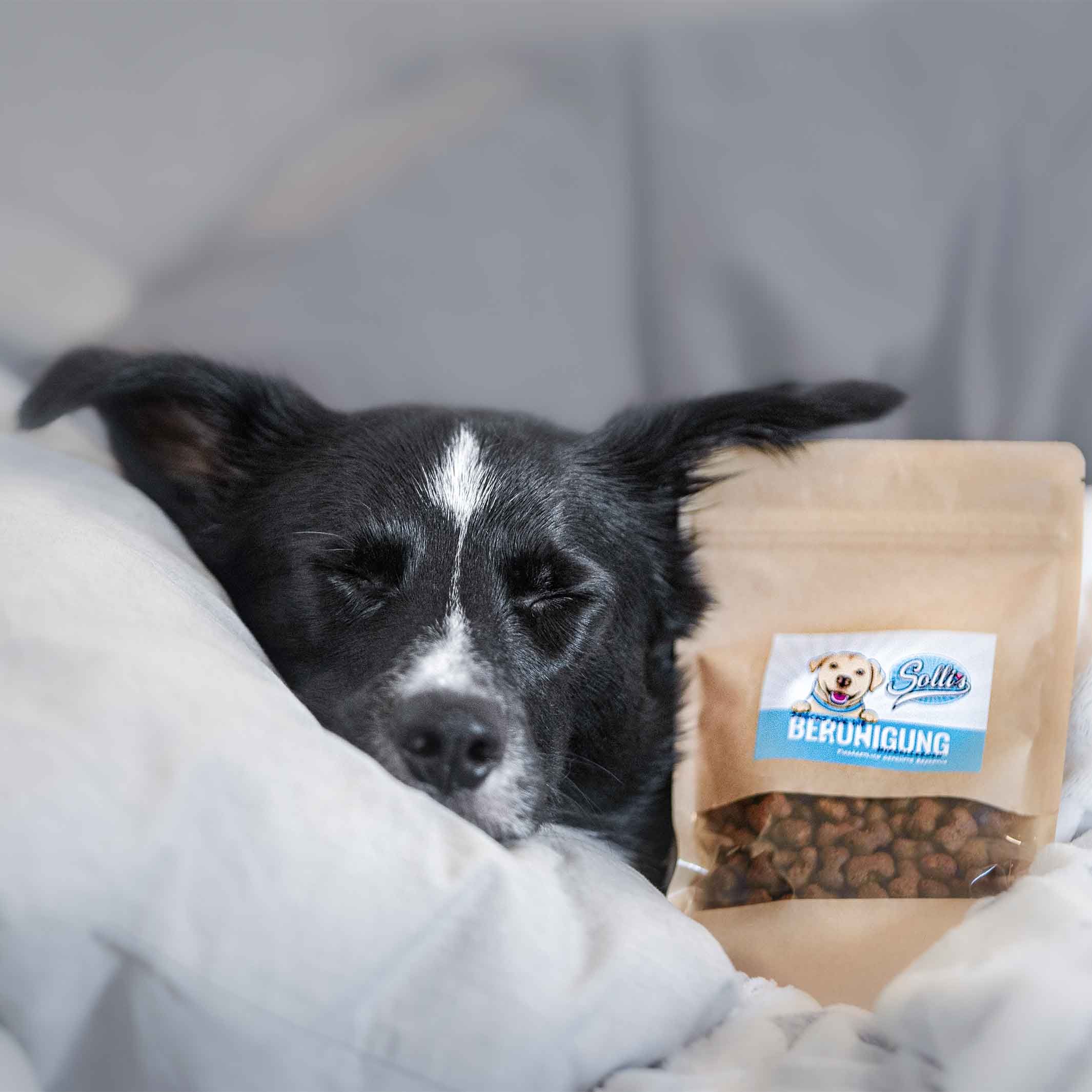 Sollis funktionaler Snack für Hunde – zur Beruhigung