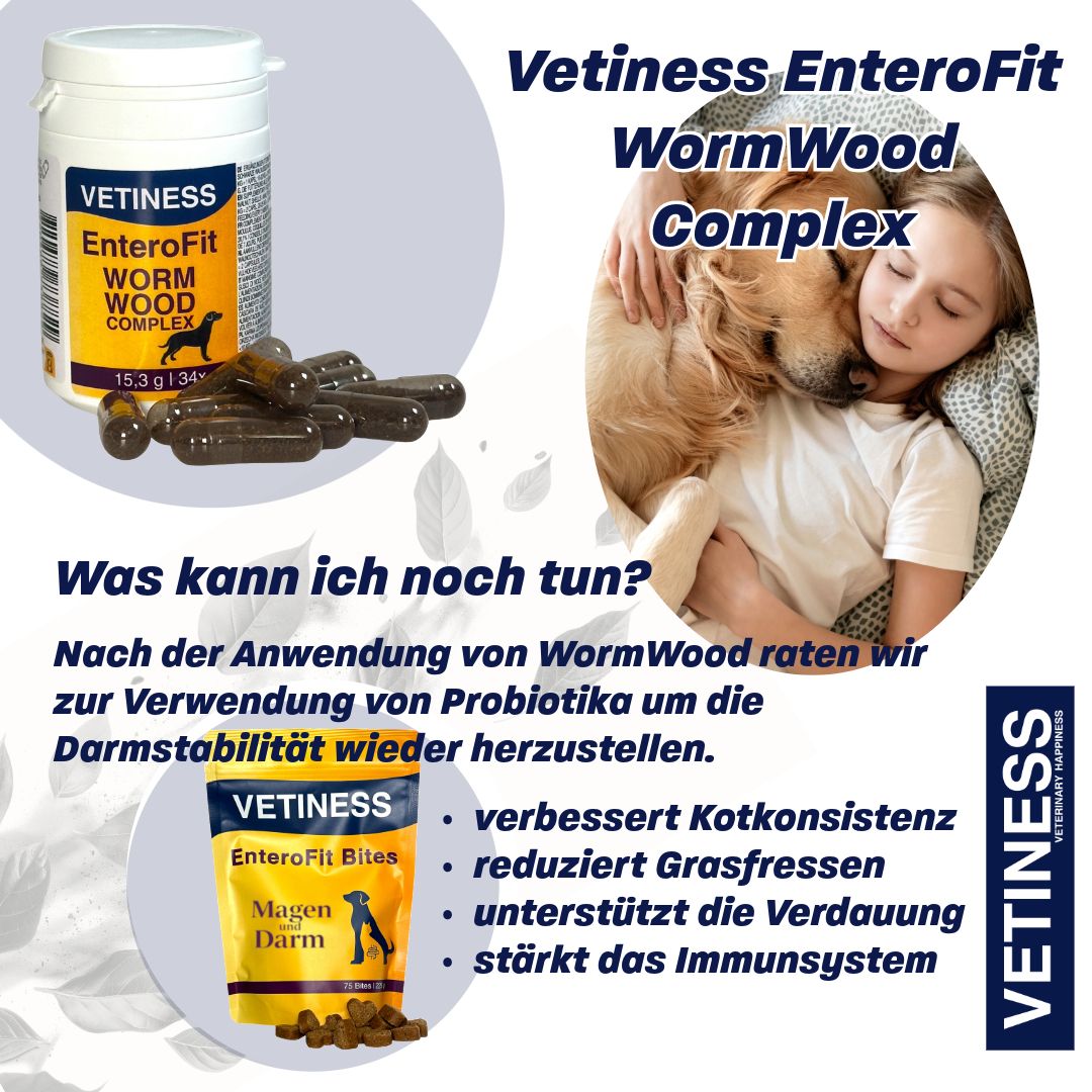 Weiße Dose mit Kapseln, daneben Kapseln. Text: Vetiness EnteroFit WormWood Complex. Was kann ich noch tun? Text: Vetiness EnteroFit Bites. Logo.