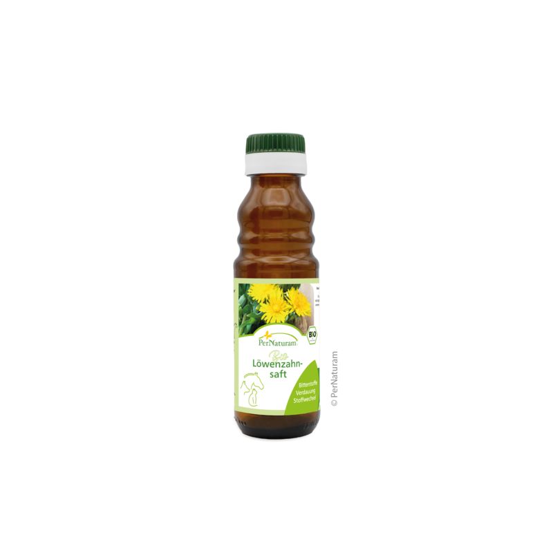 Braune Glasflasche mit grünem Deckel. Etikett mit Löwenzahn-Illustration und Schriftzug 'Bio Löwenzahnsaft'.